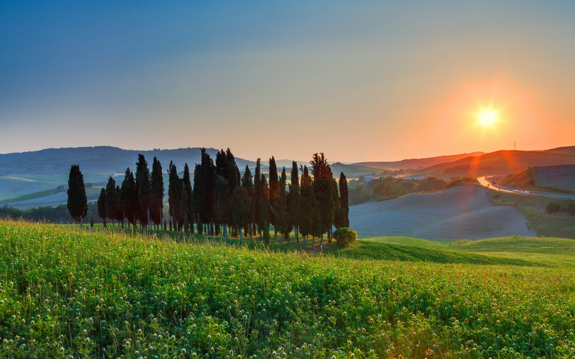 champ arbre paysage coucher de soleil