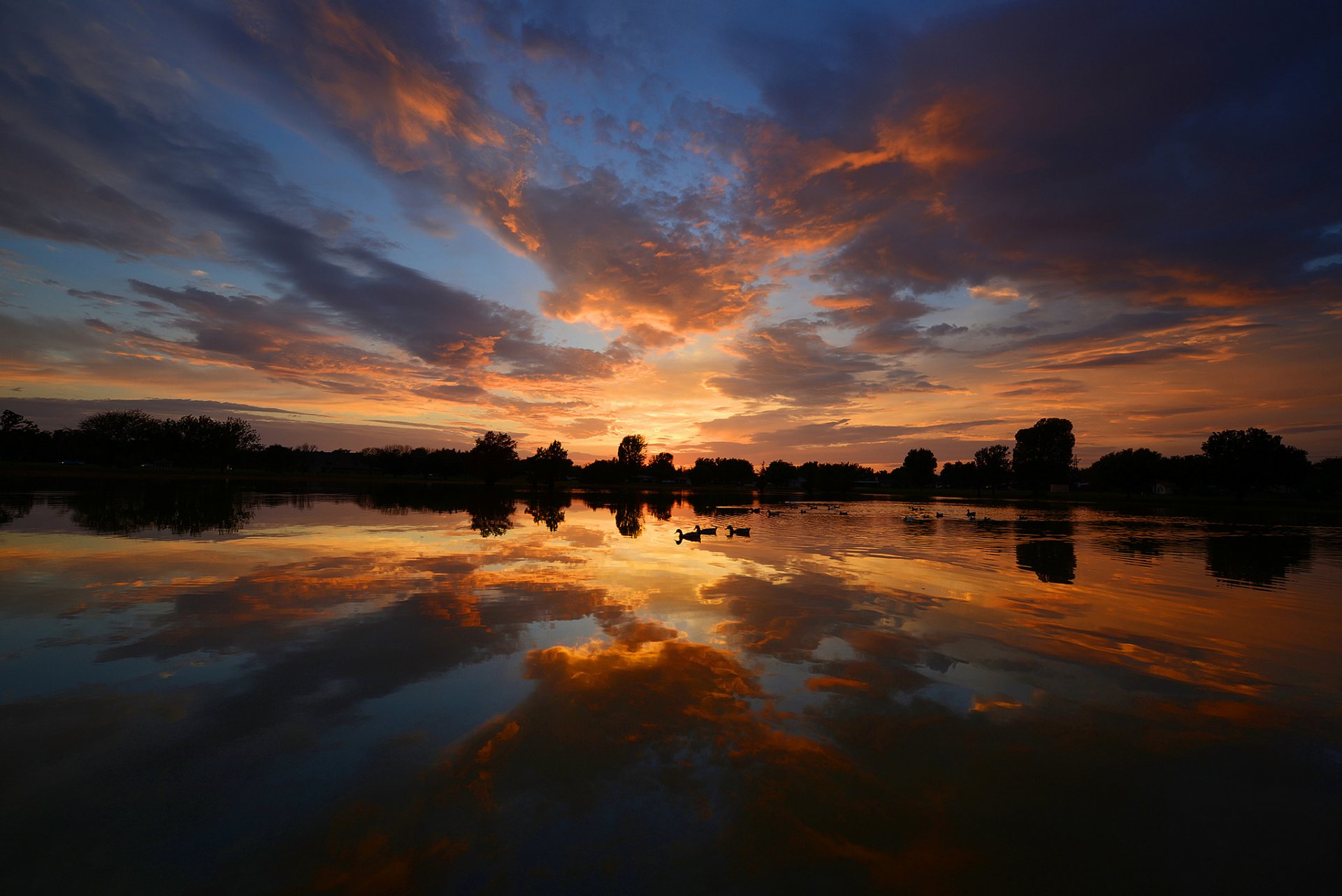 sera acqua cielo riflessi anatre