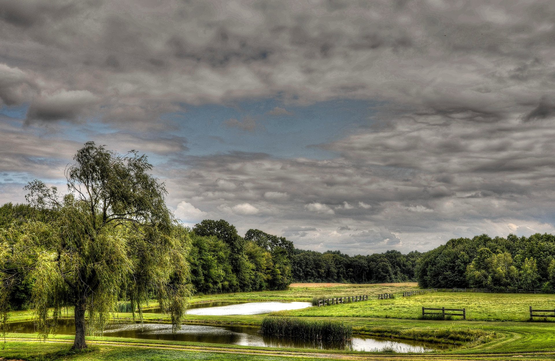 cielo nubes campo prado estanque árboles cerca