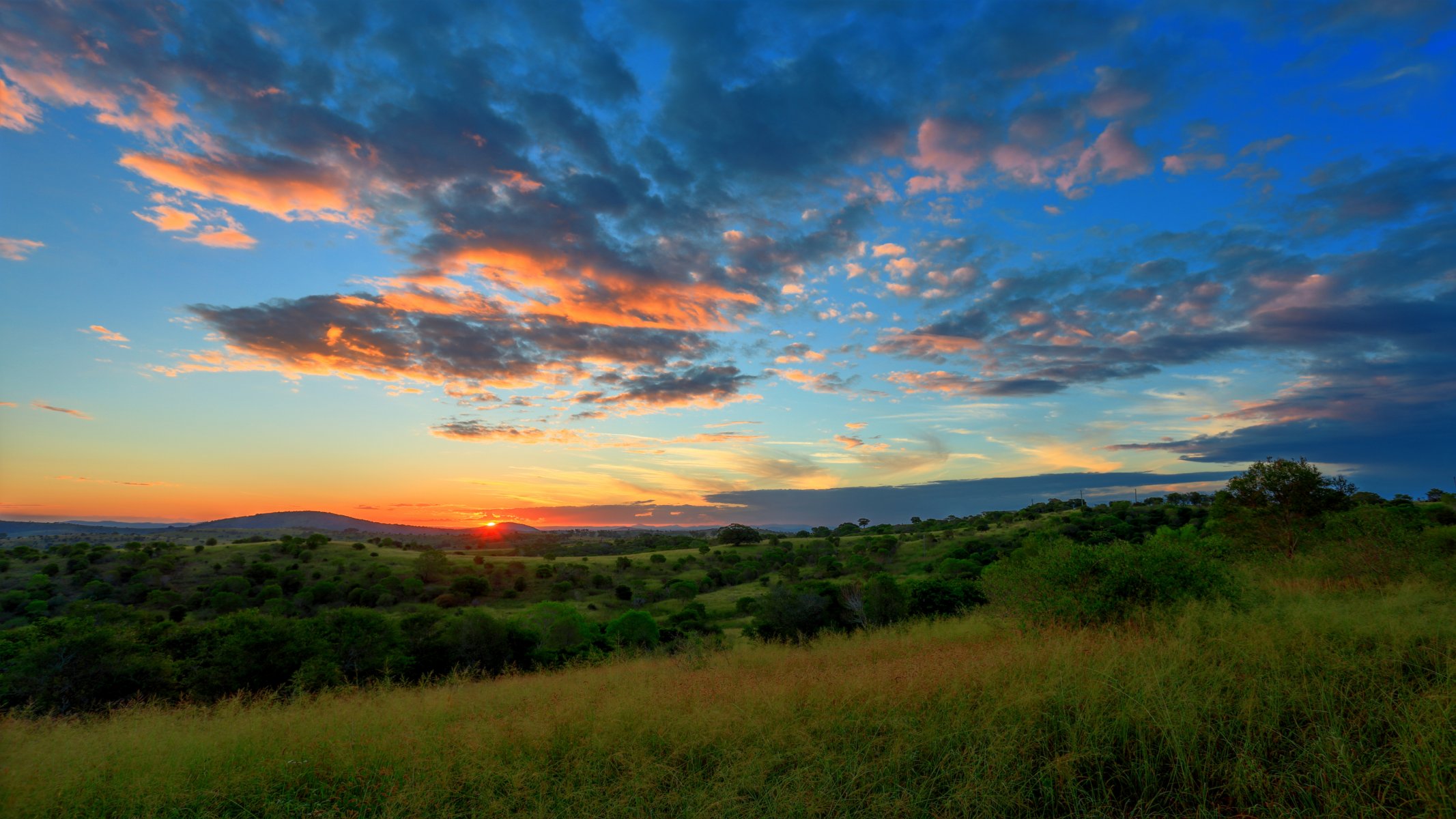 champ arbres collines coucher de soleil ciel nuages