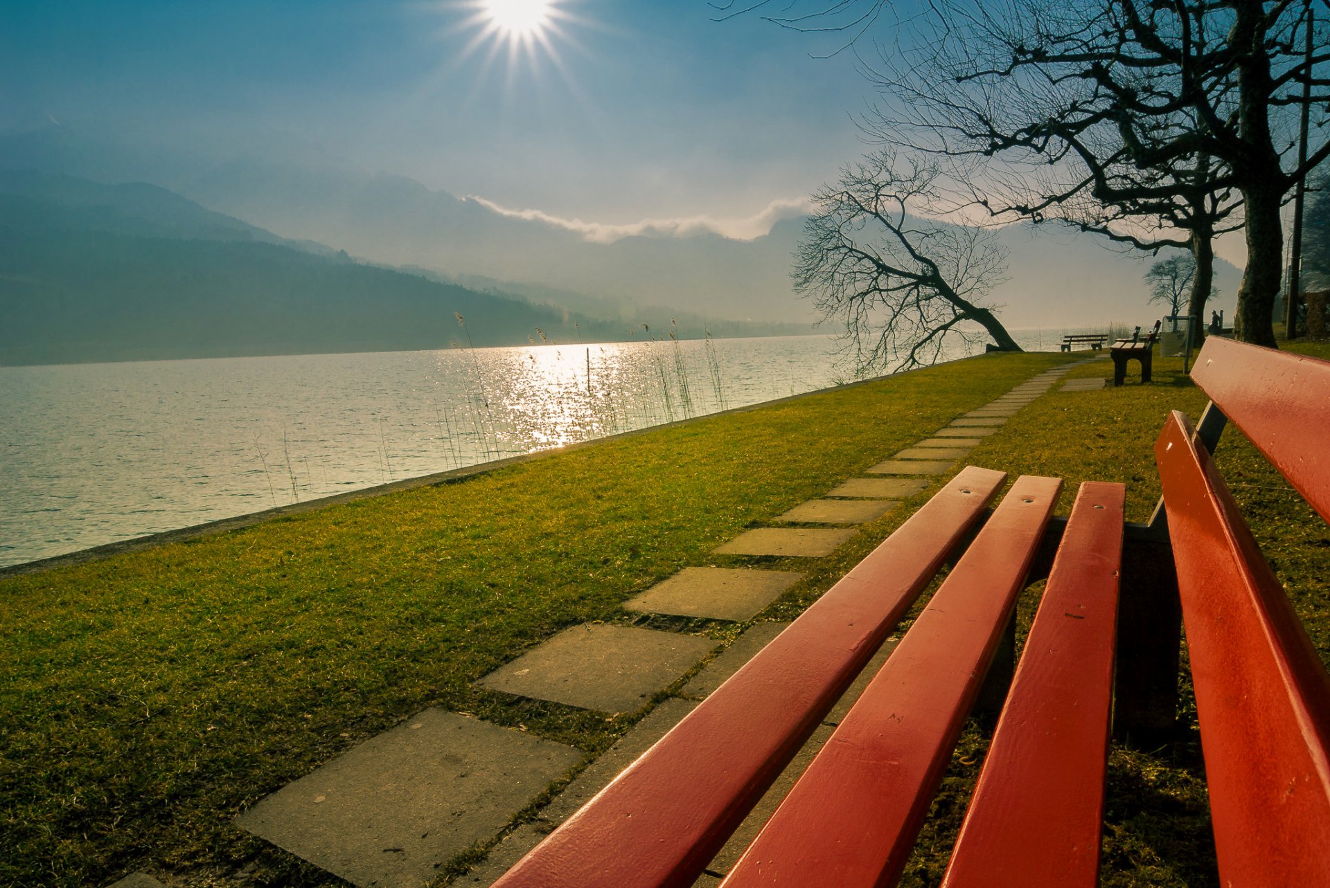 lago di firvaldstätte lago di lucerna svizzera montagne sole panchina parco