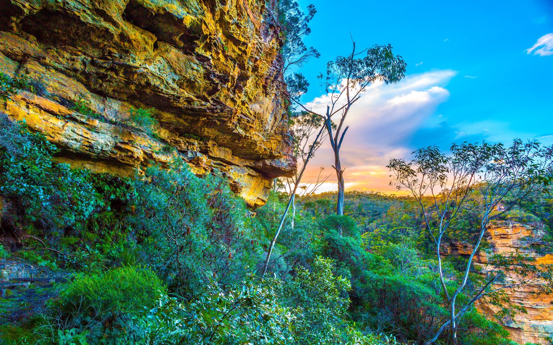 blue mountains national park australia sky clouds rock tree