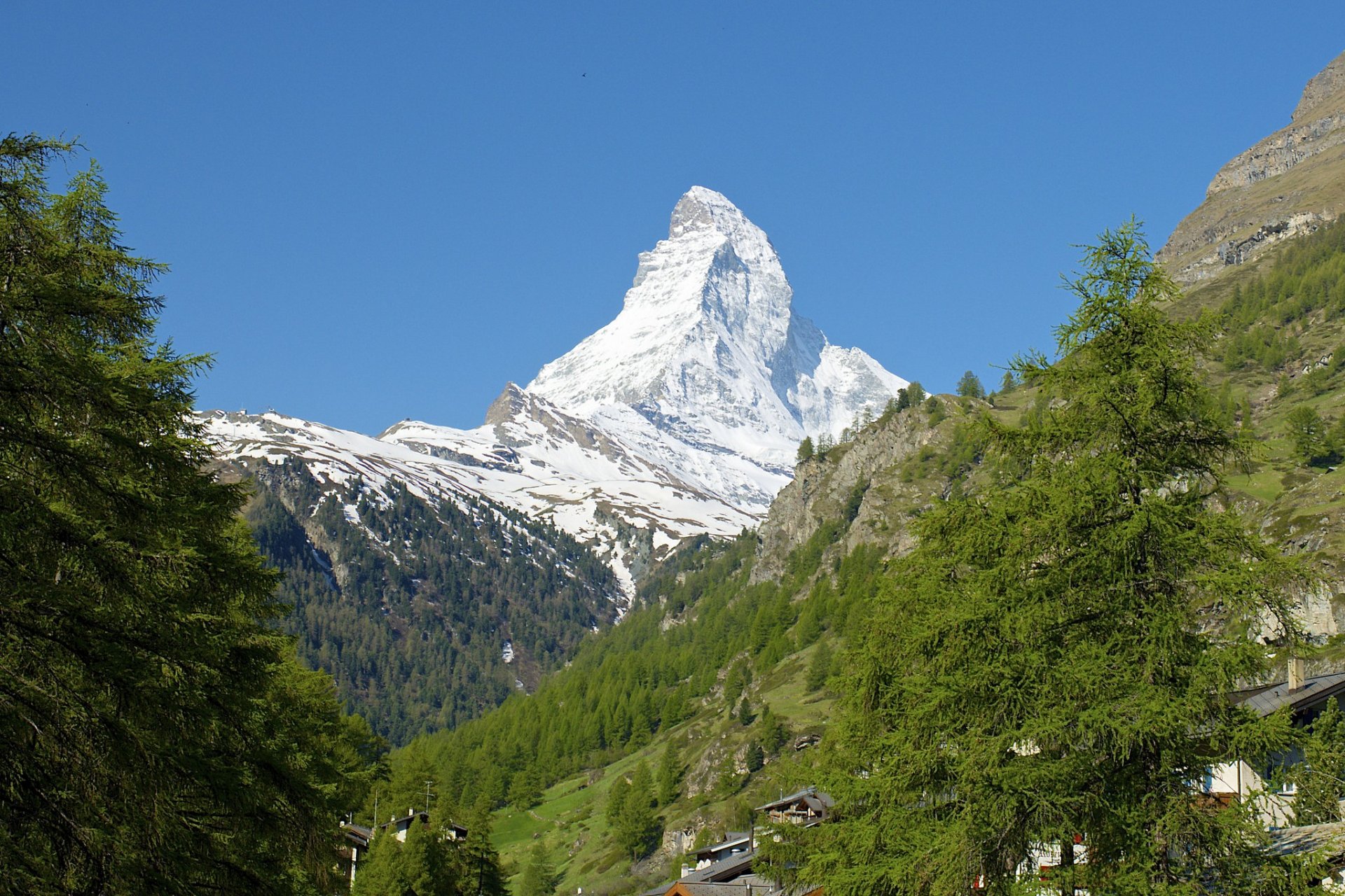 suiza italia alpes monte matterhorn árboles nieve pendiente