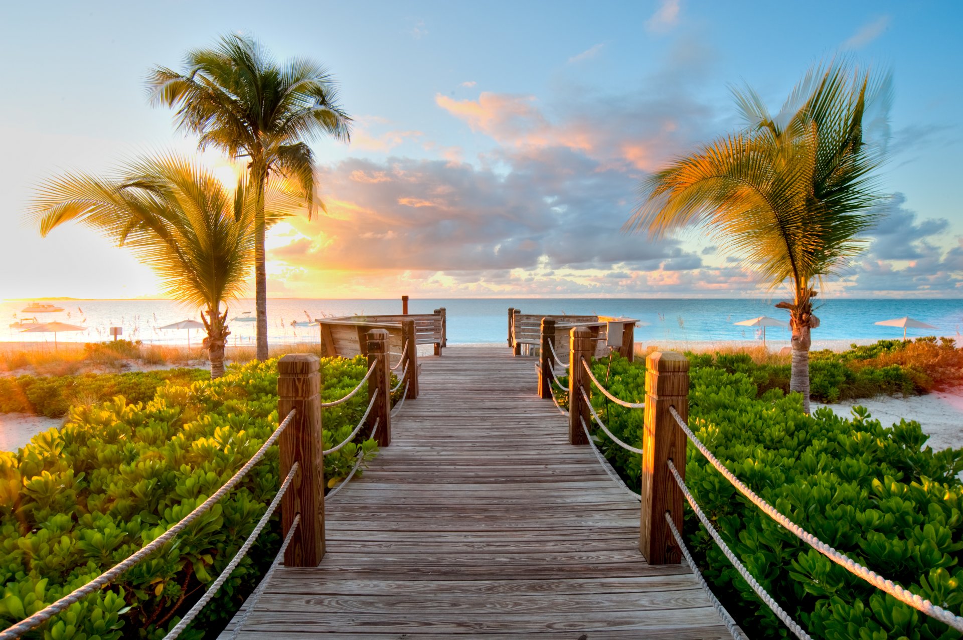 palm bridge ocean