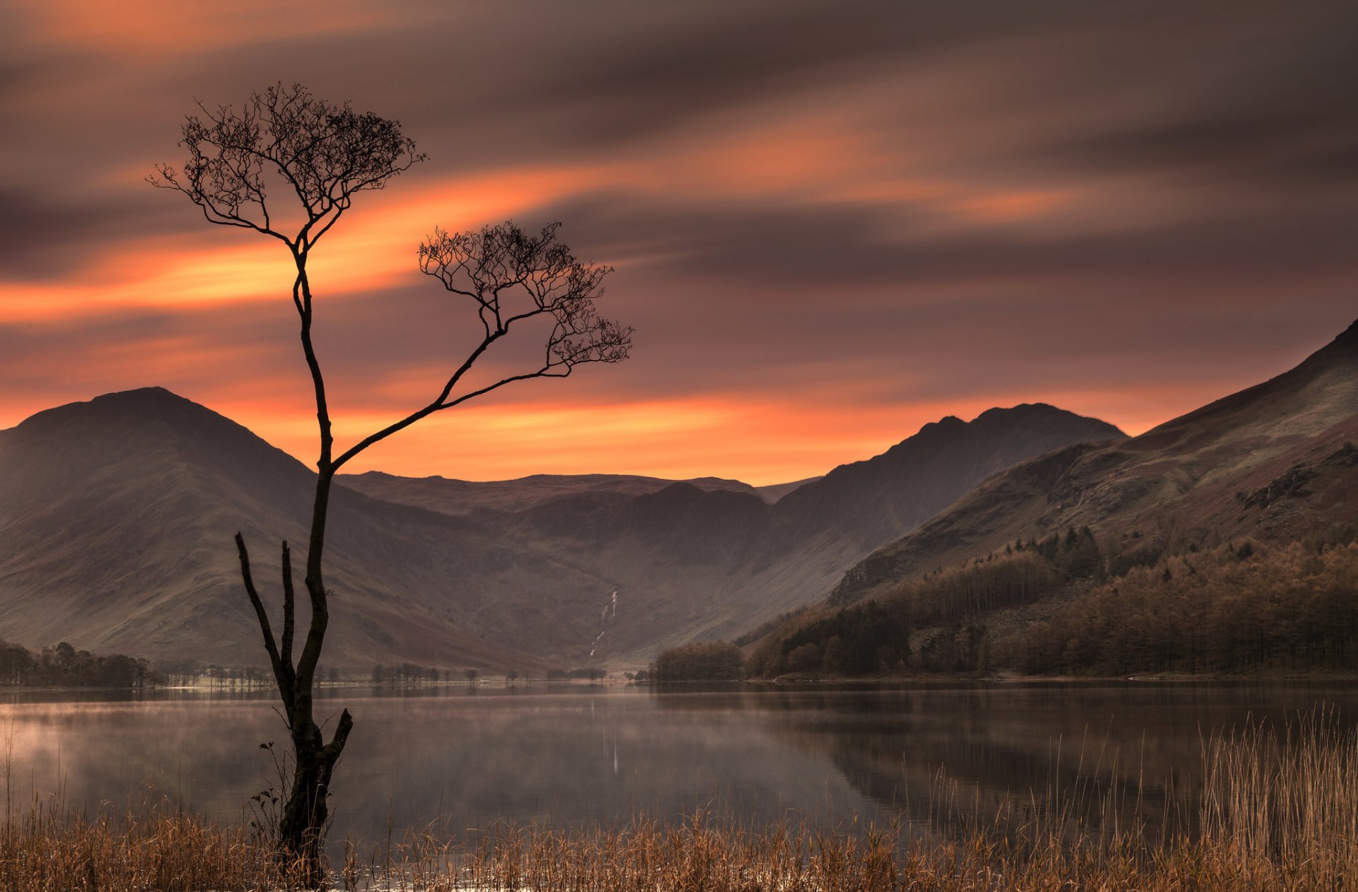 buttermere lago lake district inghilterra lake district lago montagna albero tramonto