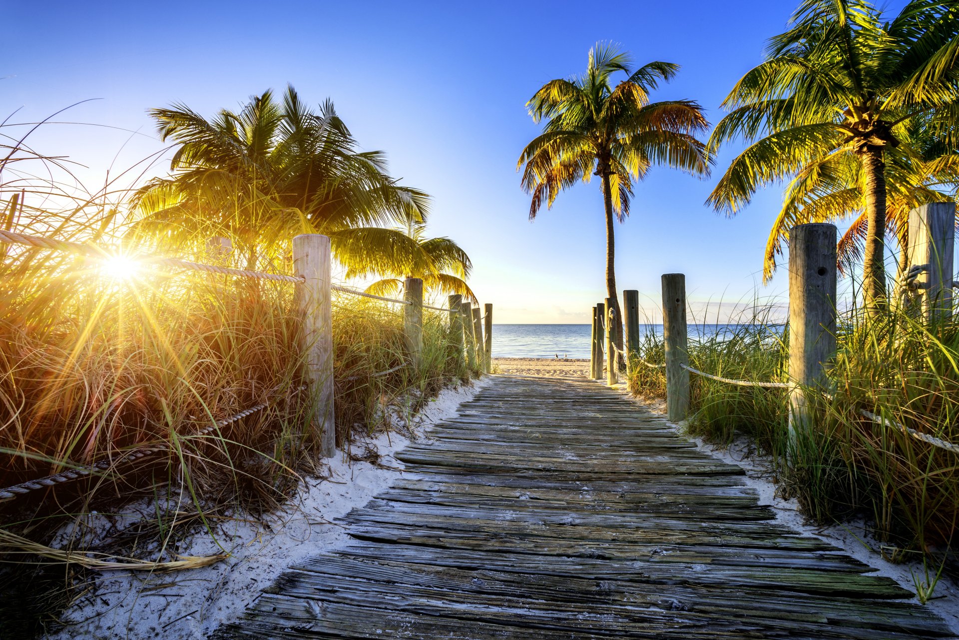 beach palm trail sky sun