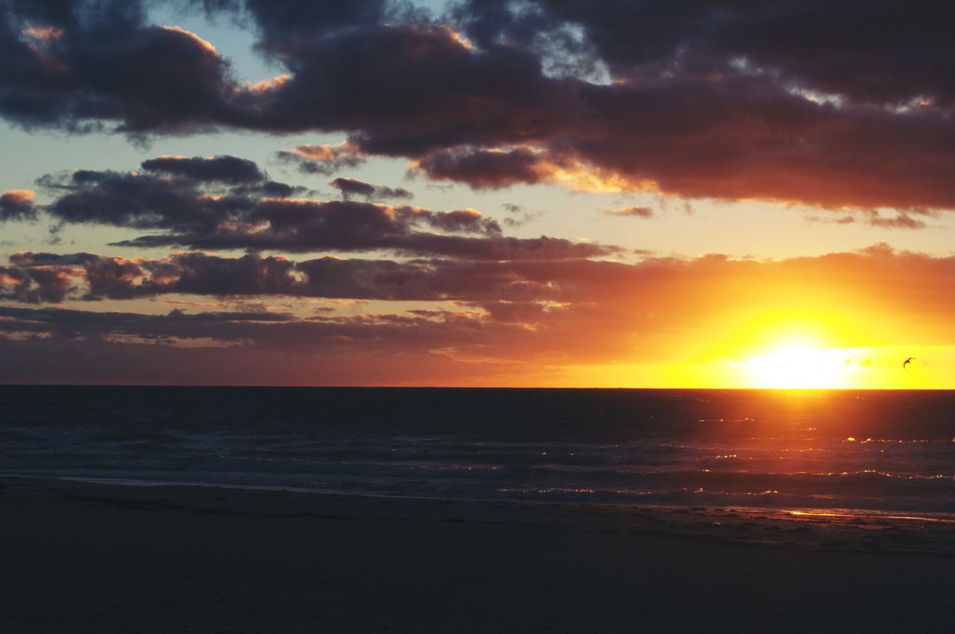 coucher de soleil horizon ciel nuages vagues oiseau