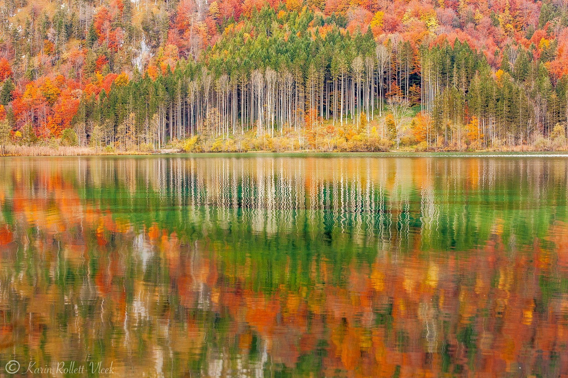 autunno lago riflessione natura foresta paesaggio