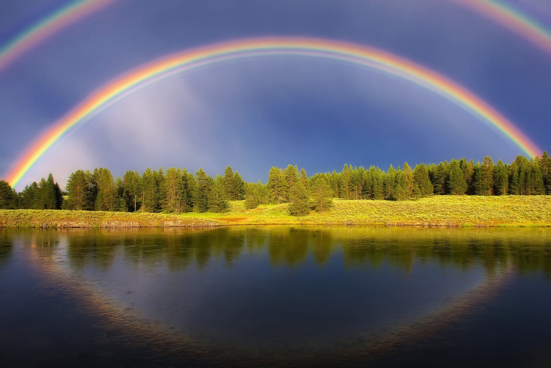 sommer regenbogen wald himmel licht teich see fluss wasser