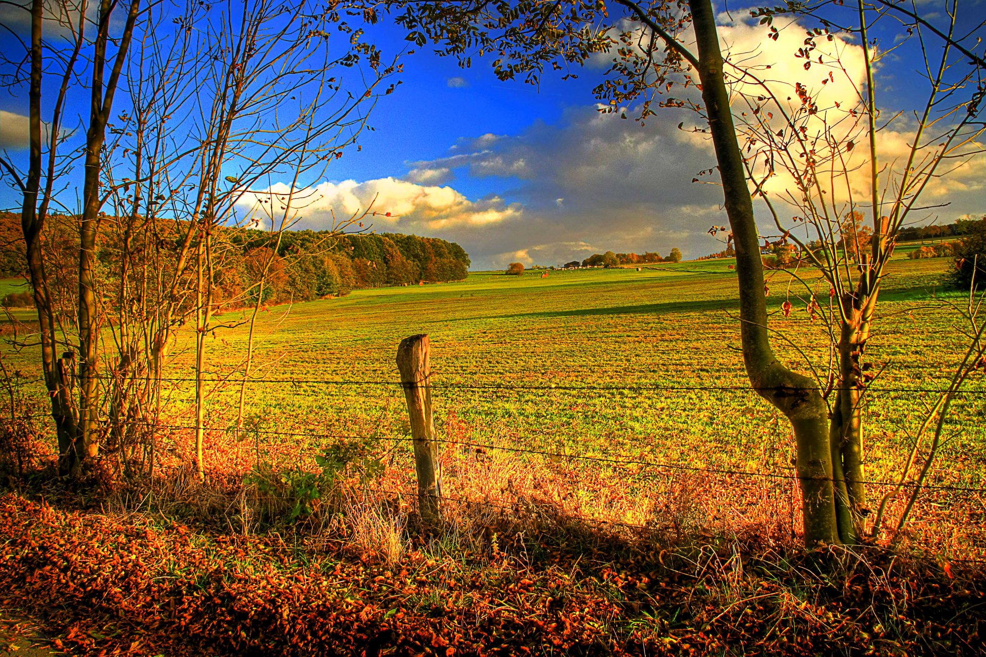 himmel wolken feld bäume herbst