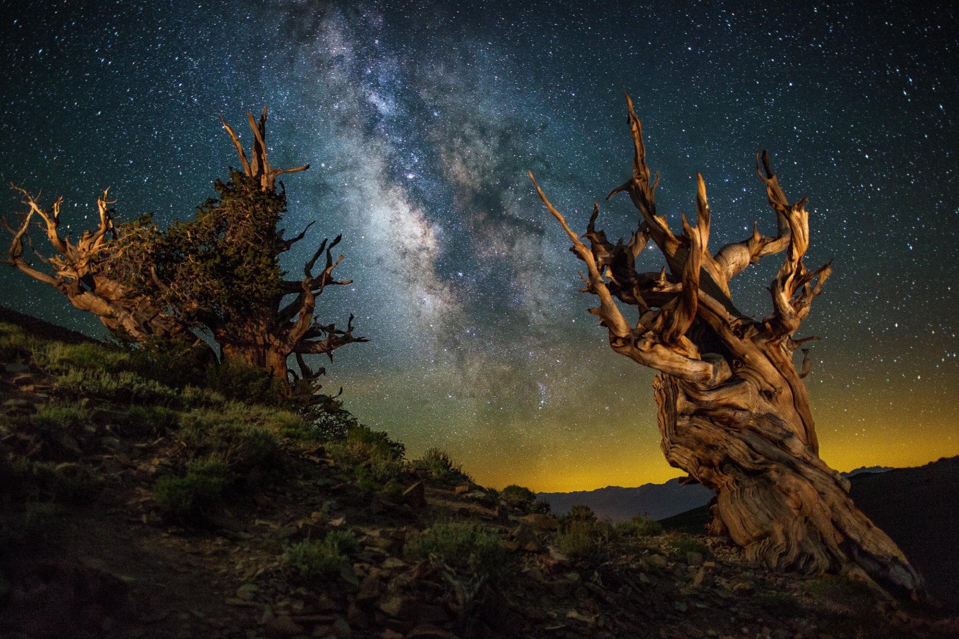 alberi notte cielo canyon paesaggio