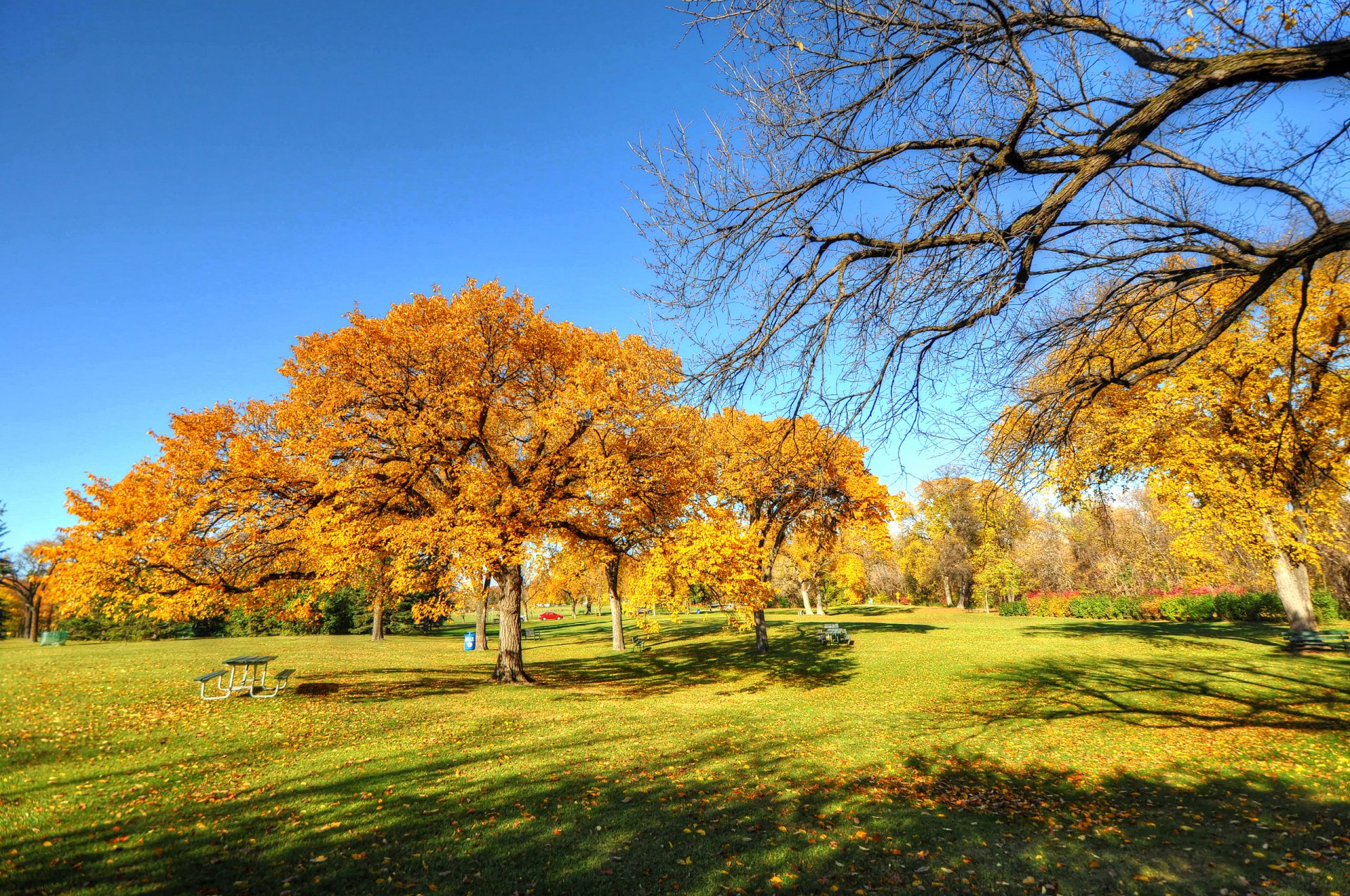 niebo park drzewa jesień ławka