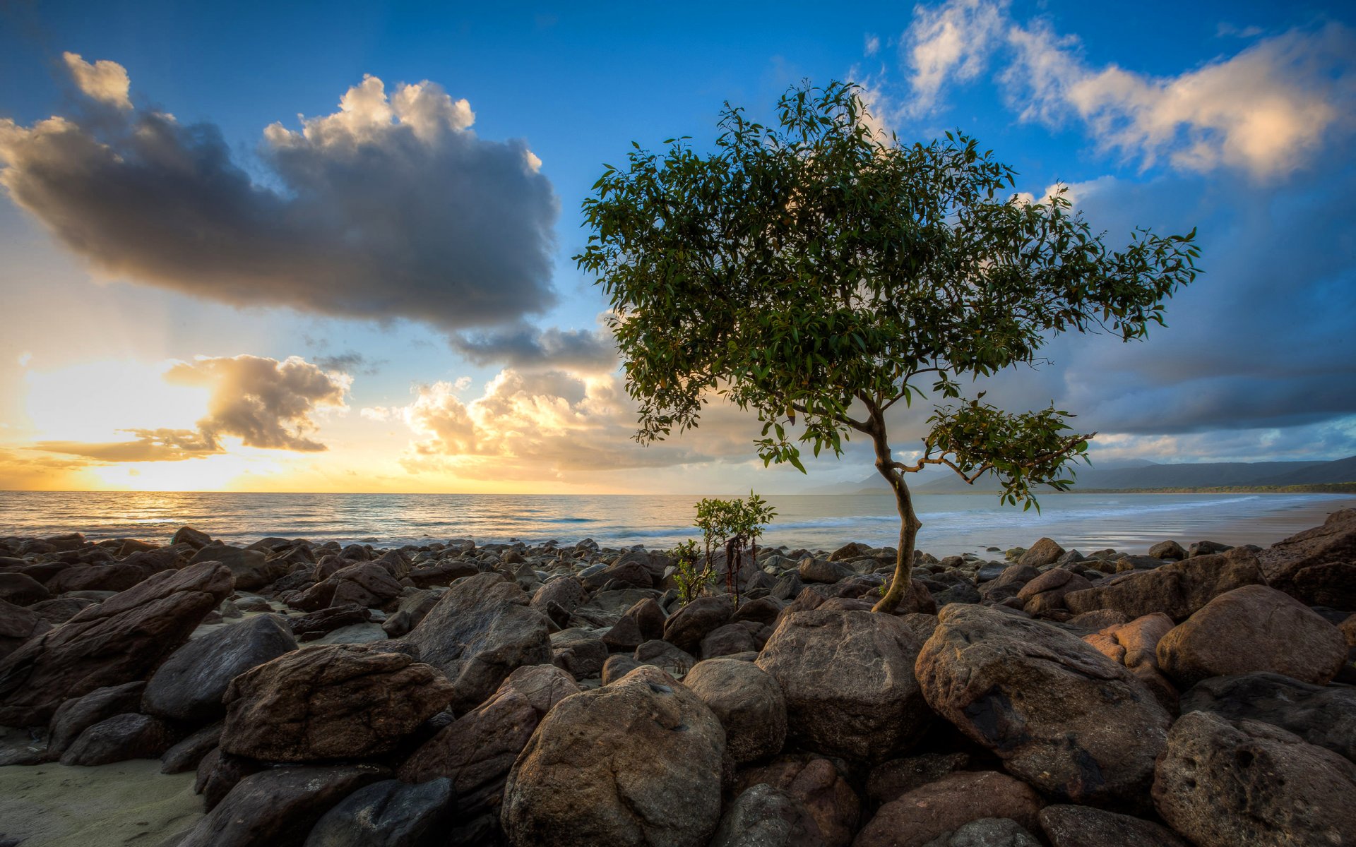 ky clouds sunset sea stones tree