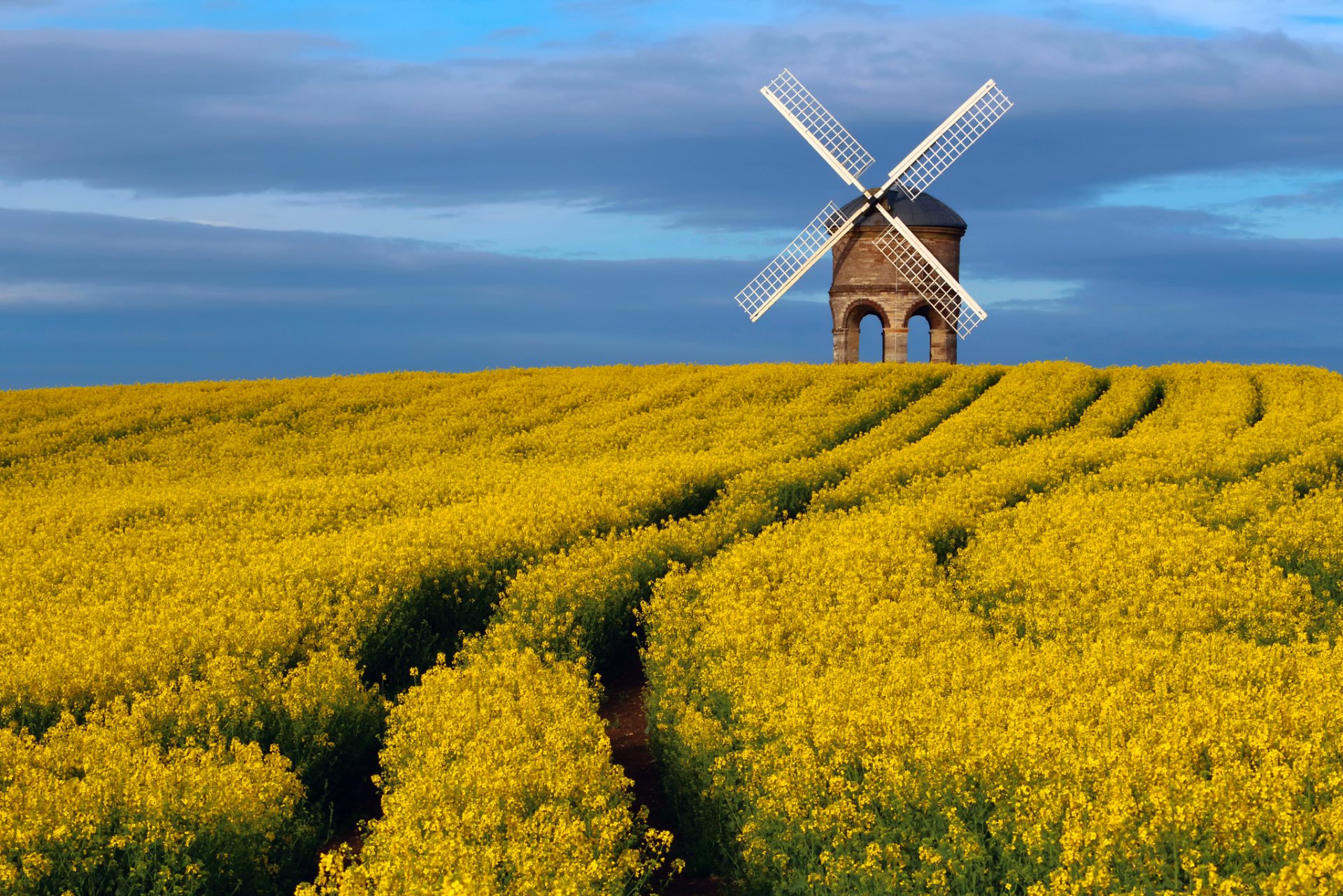 united kingdom county warwickshire an architectural monument chesterton windmill windmill spring april sky the field rapeseed