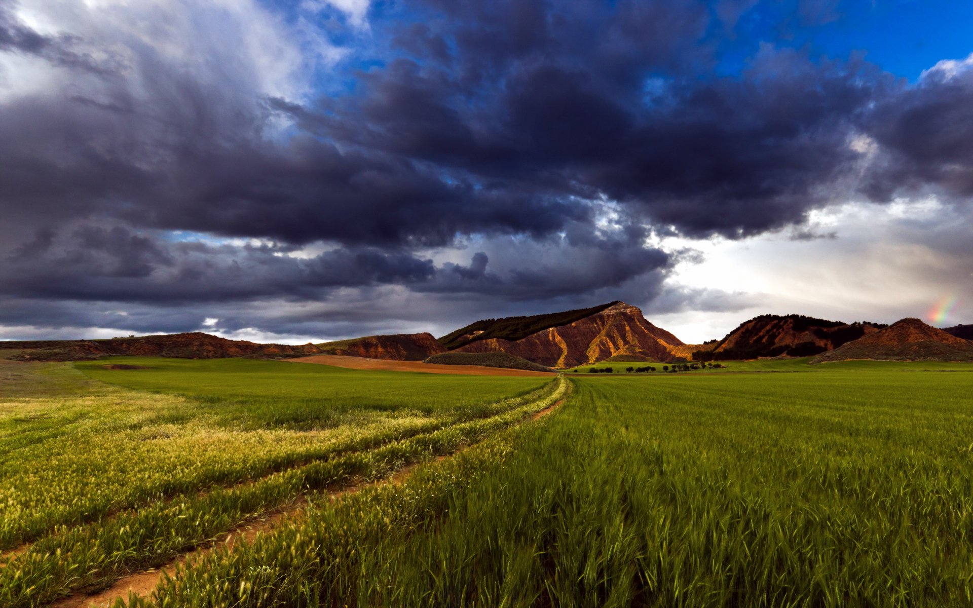 the field sky nature landscape