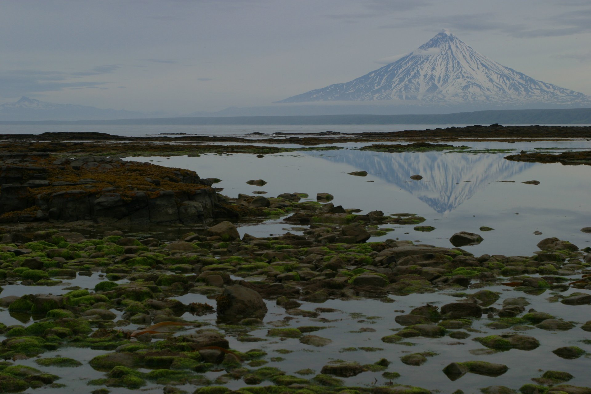 natura kamchatka montagna mare pietre muschio riflessione foto