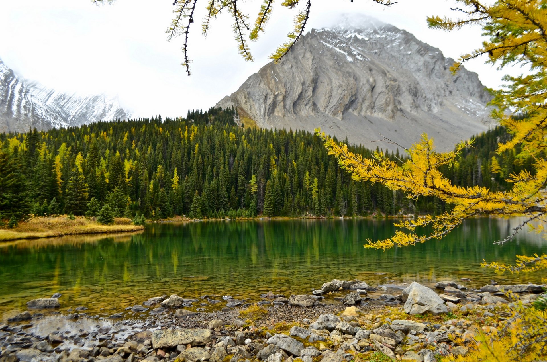 jezioro chester canadian rockies alberta kanada jezioro chester canadian rockies jesień jezioro góry las gałęzie modrzew