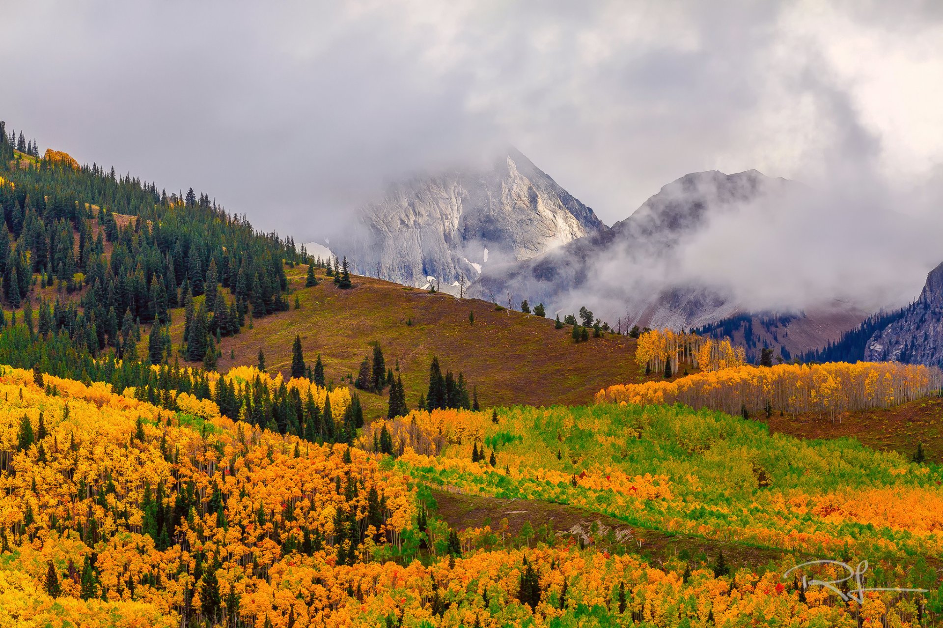 états-unis colorado mont capitol peak brouillard forêt automne