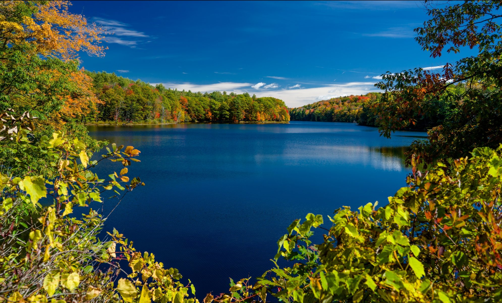 rockwood lake adirondack park nowy jork rockwood lake ny jesień jezioro drzewa gałęzie