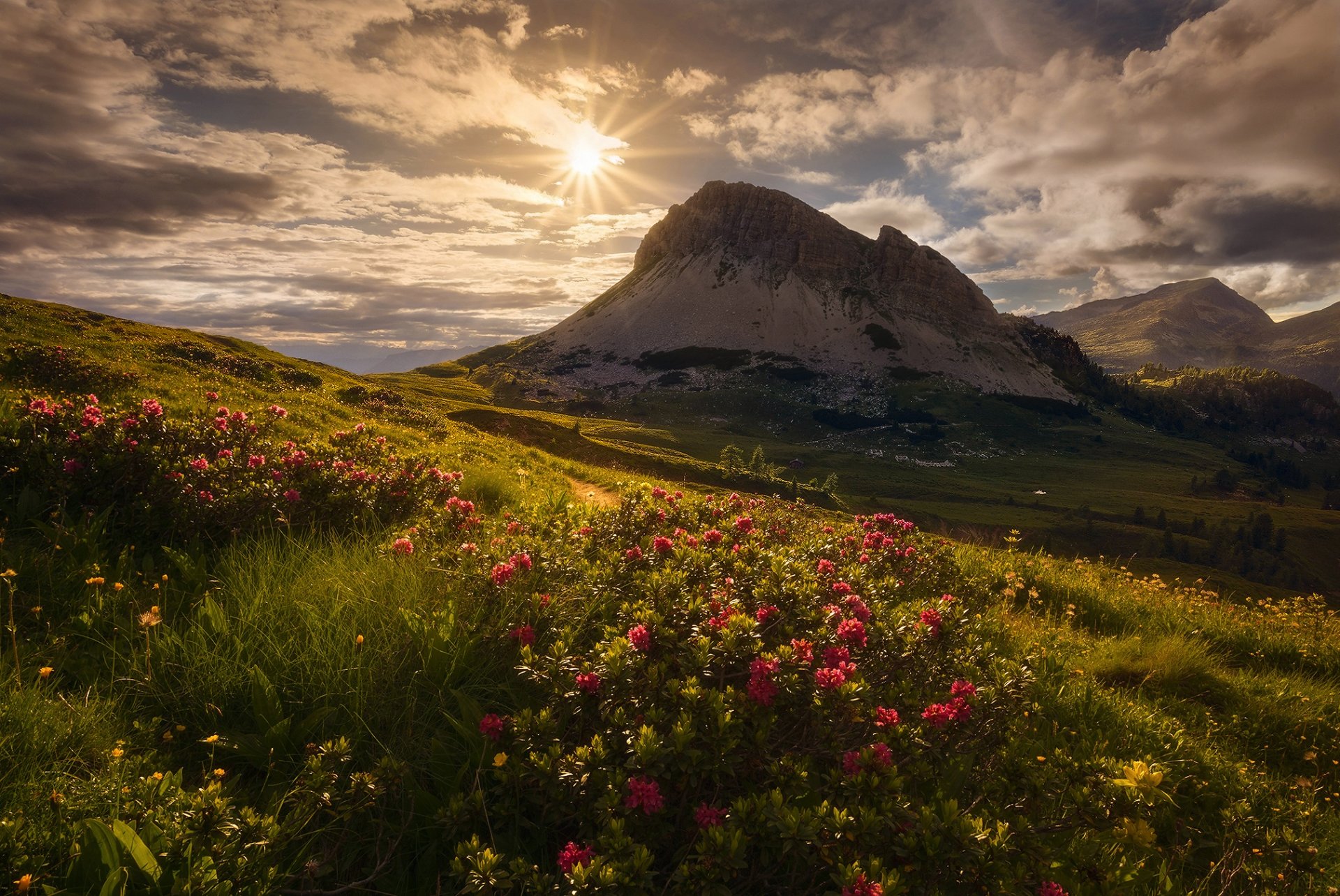 italie montagnes alpes soleil ciel nuages fleurs herbe