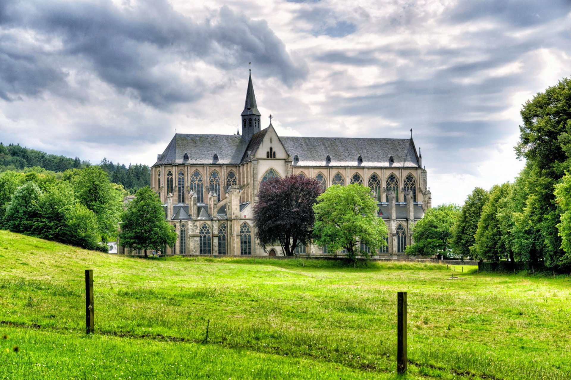 altenberg alemania catedral árboles hierba paisaje