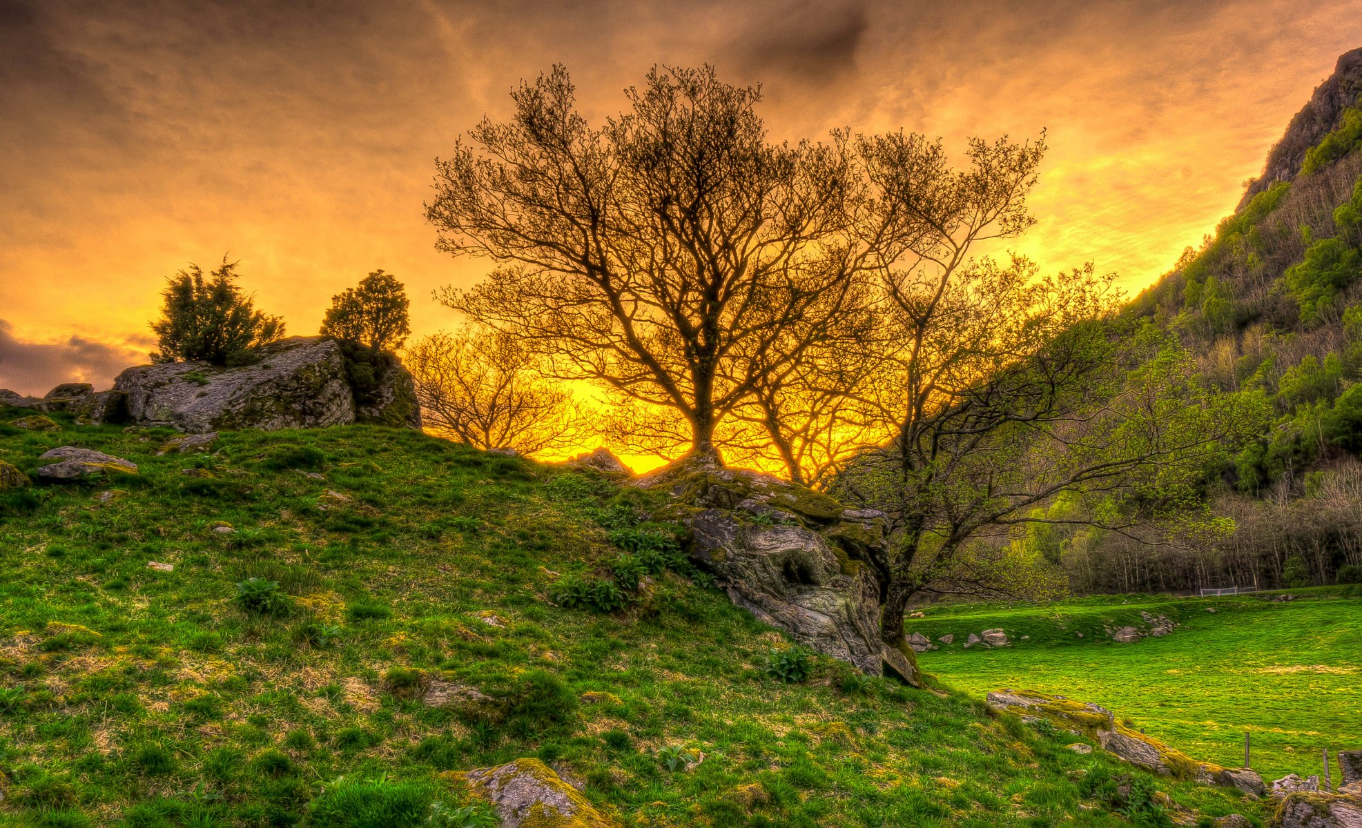 ciel coucher de soleil montagnes pierres herbe arbres hdr