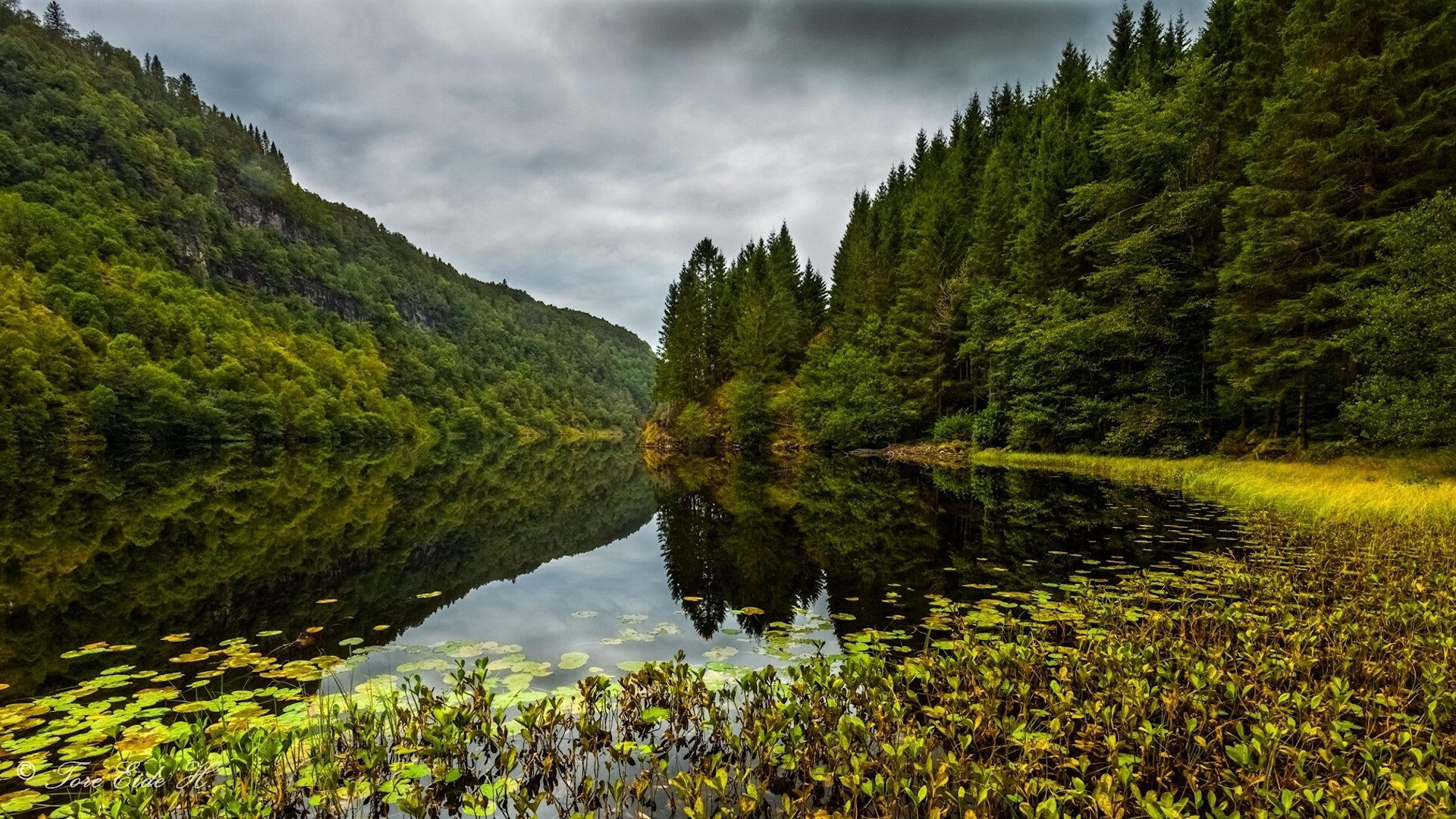 vallée de kossdalen osteroy norvège osterey lac forêt