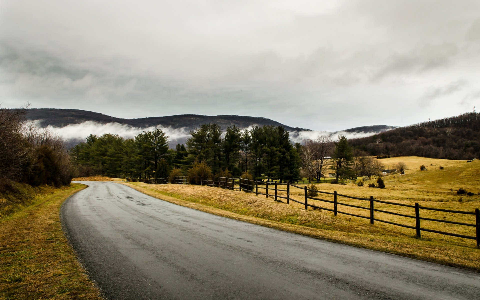 road fence landscape