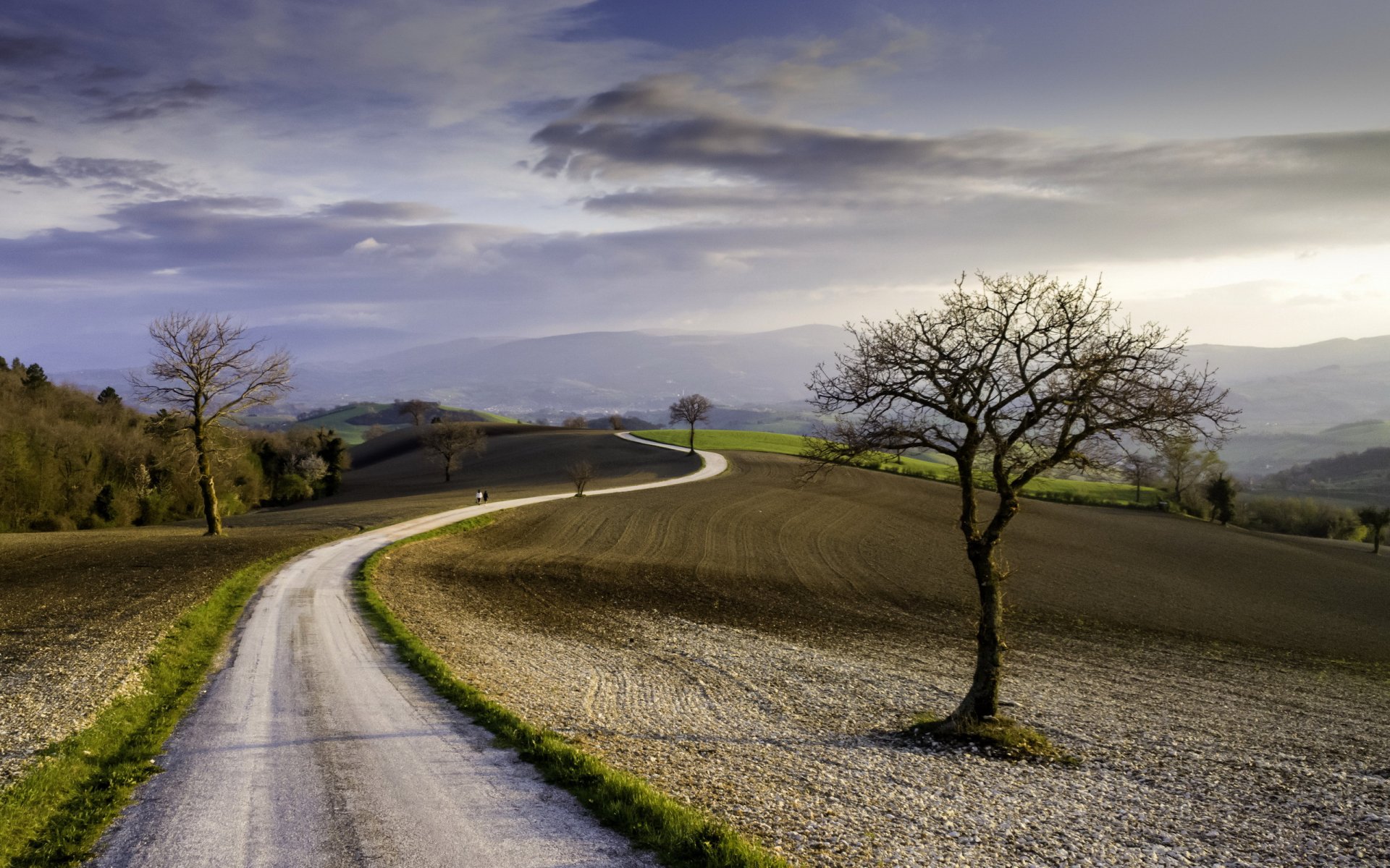 campo strada paesaggio