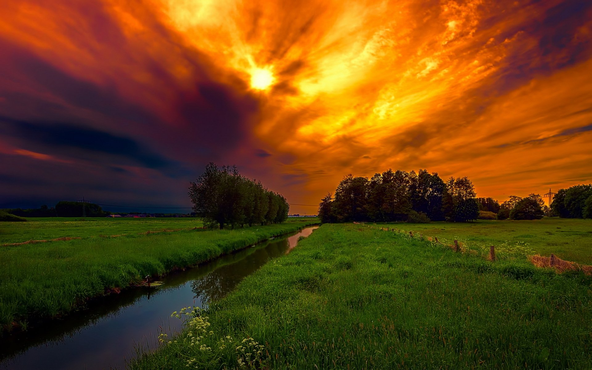 the field sky night