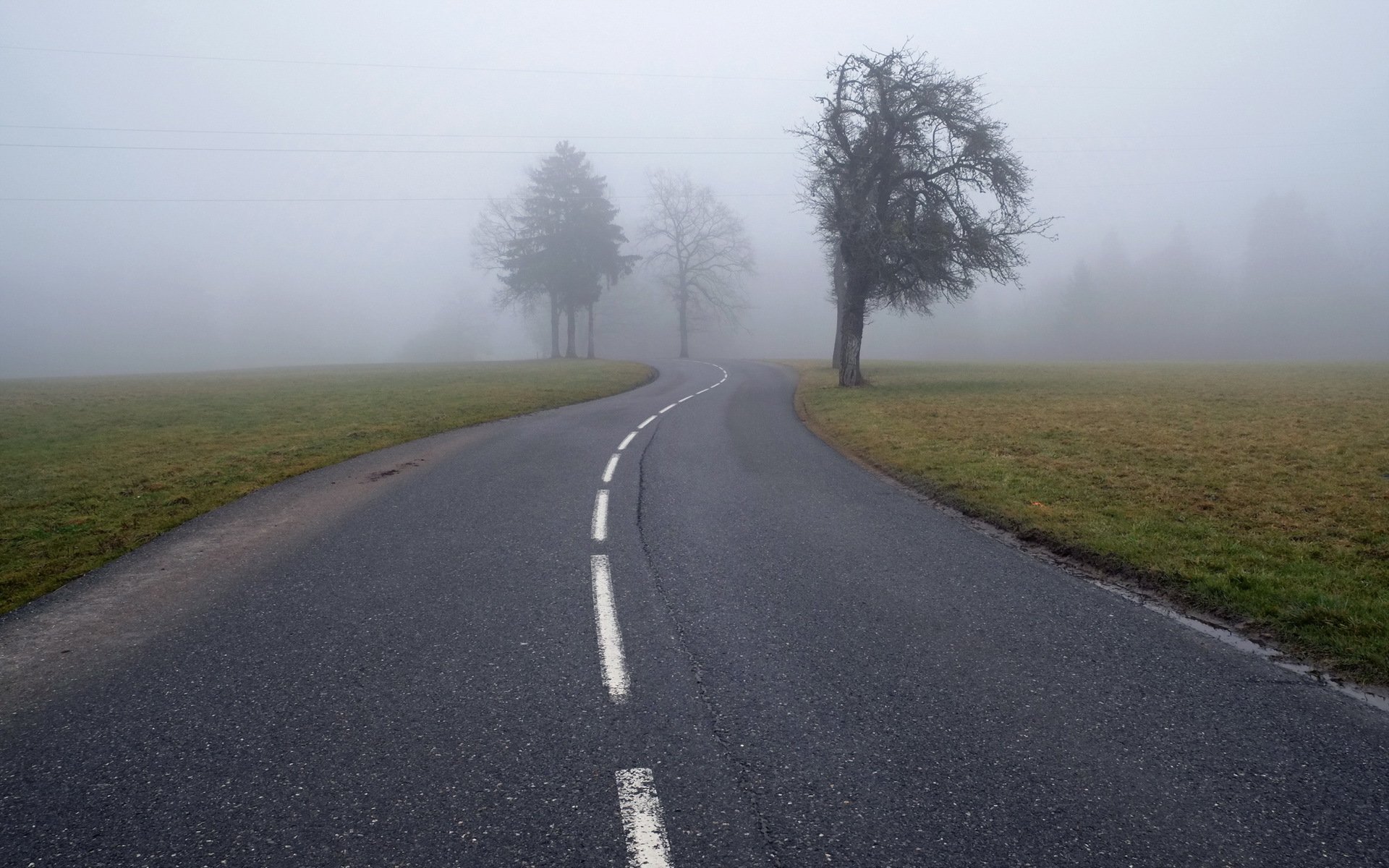 route brouillard paysage