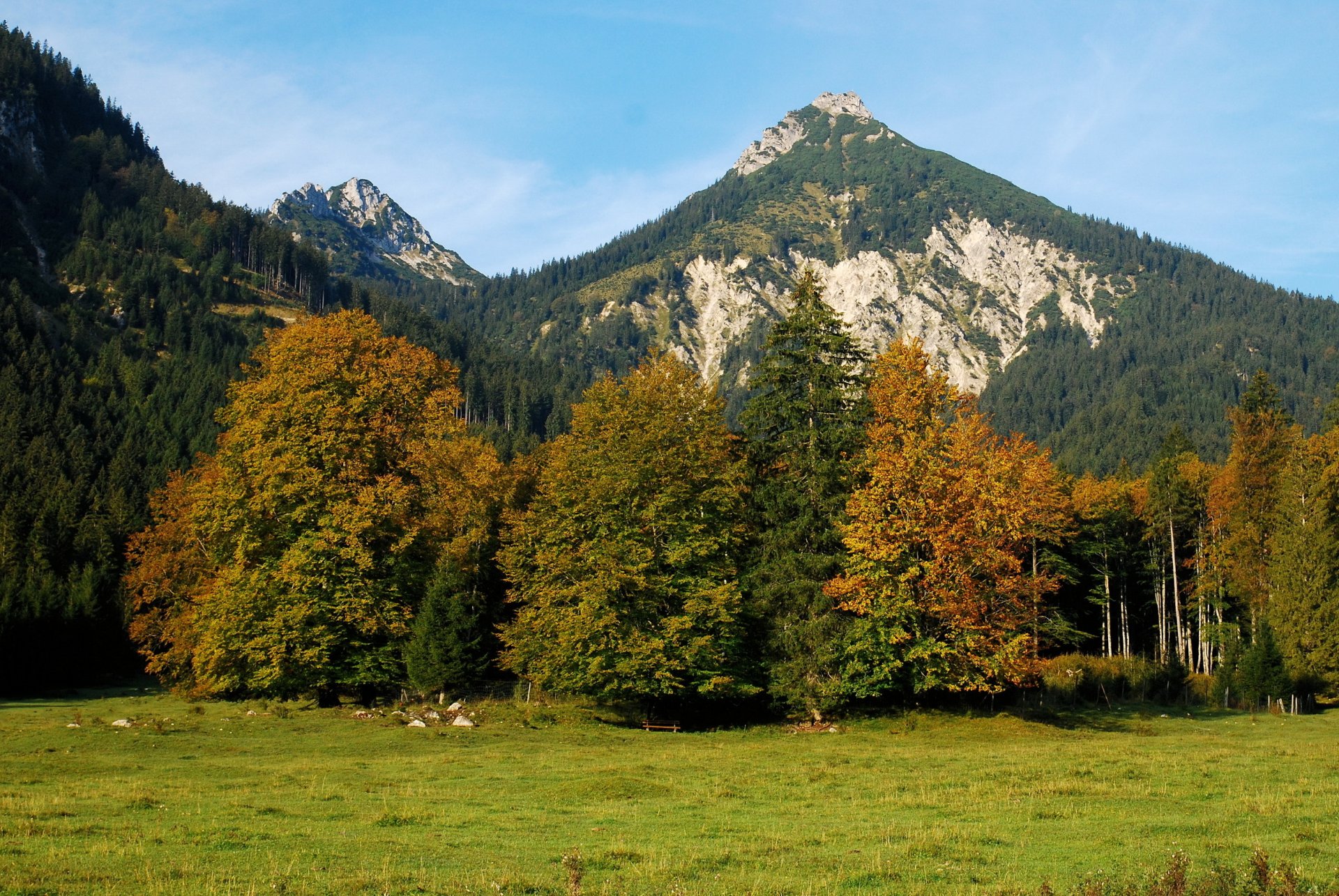 montañas austria bosque paisaje alpes naturaleza