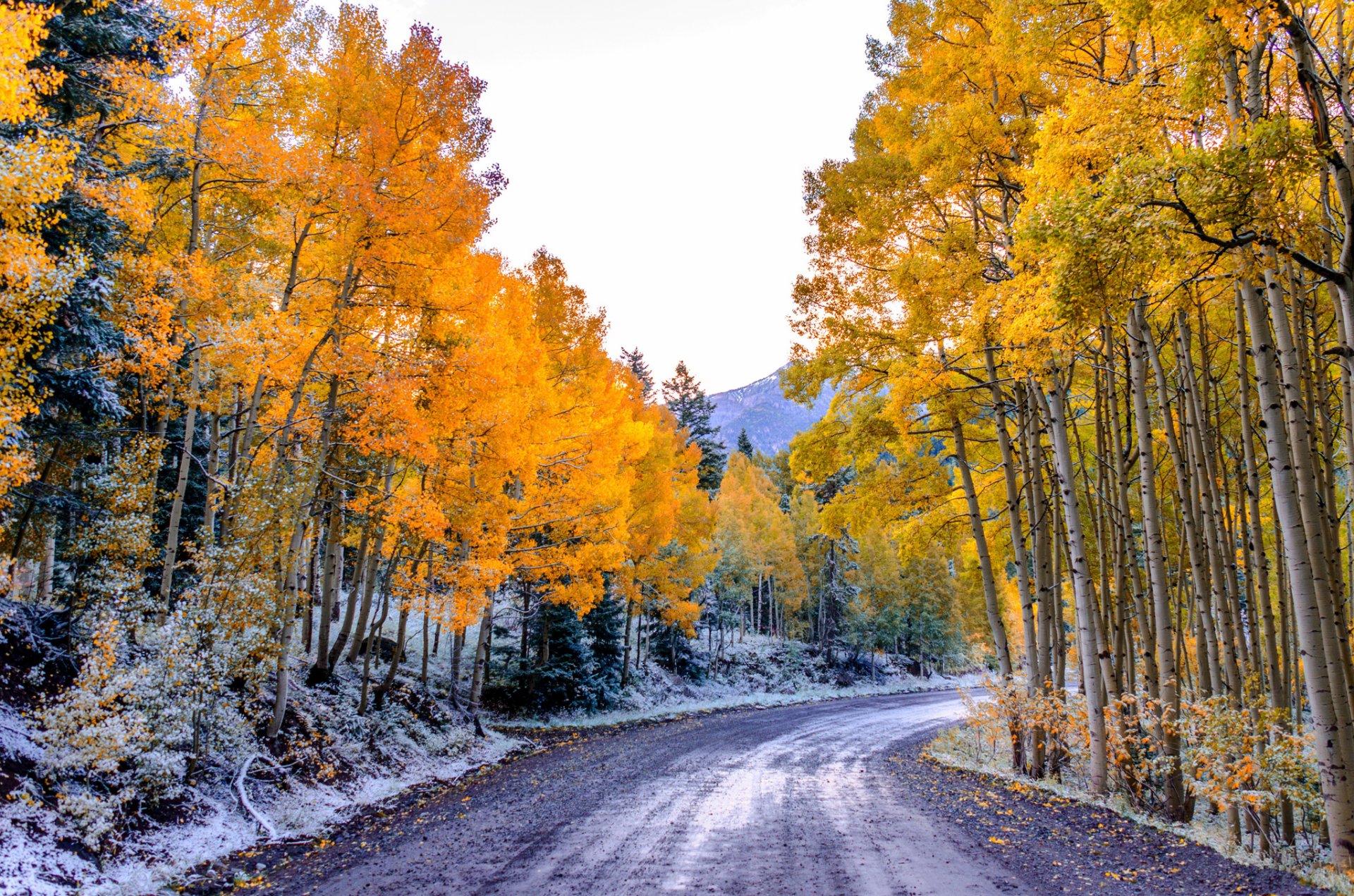 aspen colorado usa himmel berge wald straße aspen blätter herbst bäume