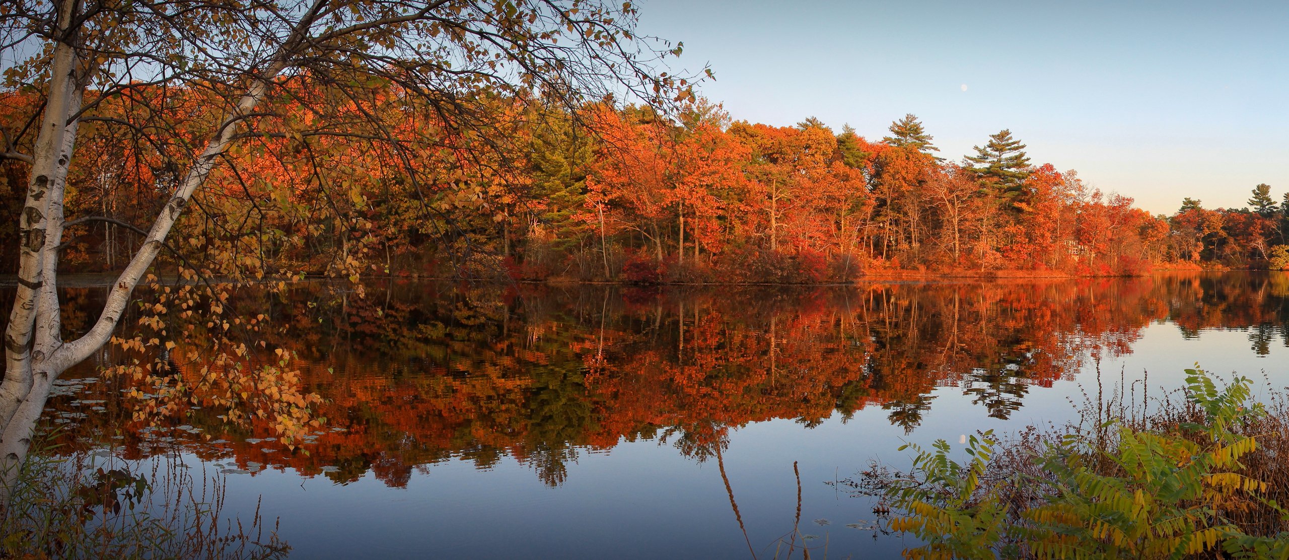 cielo tarde río bosque árboles otoño hojas escarlata