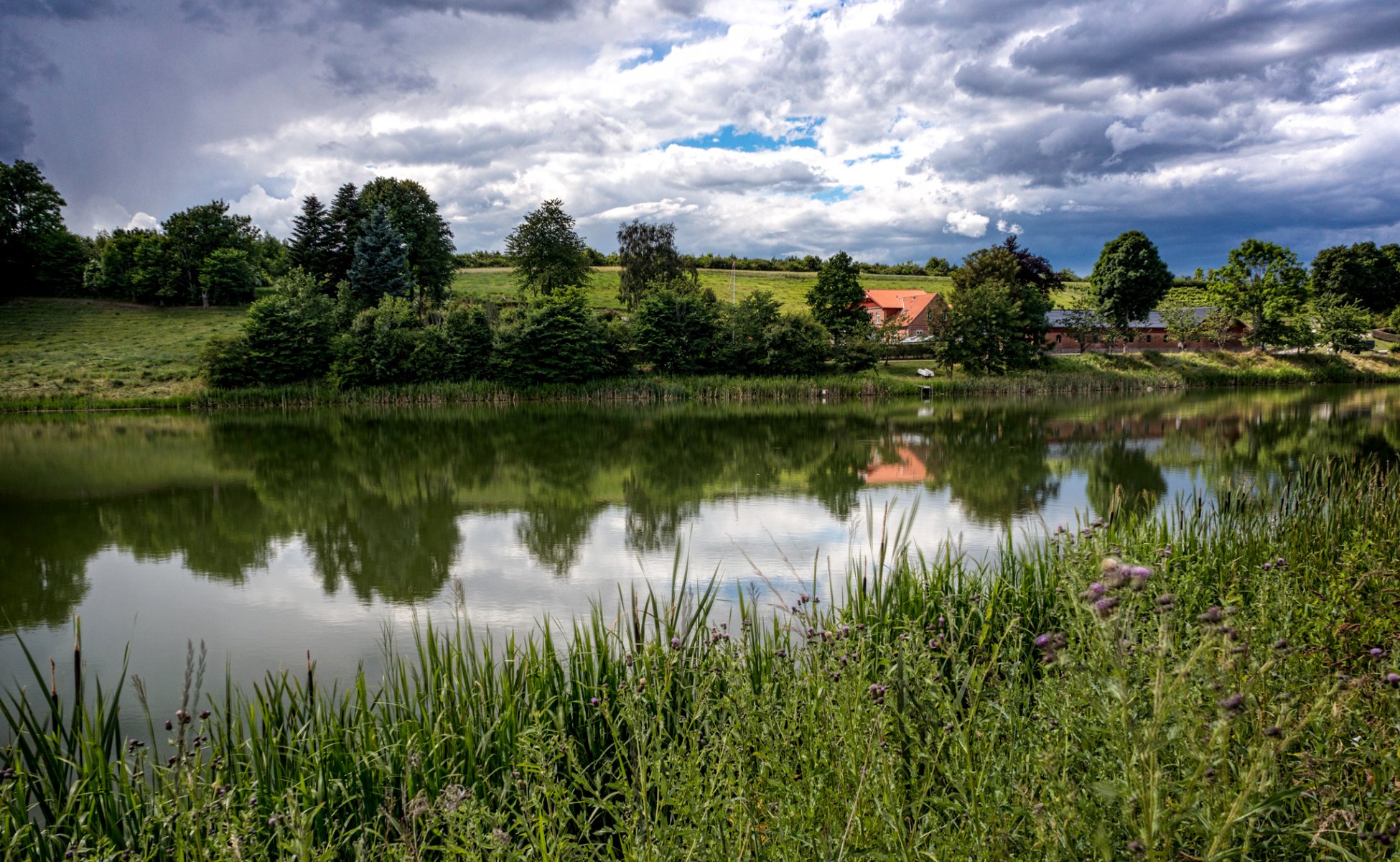 dänemark langa midtjylland fluss ufer gras bäume feld wolken