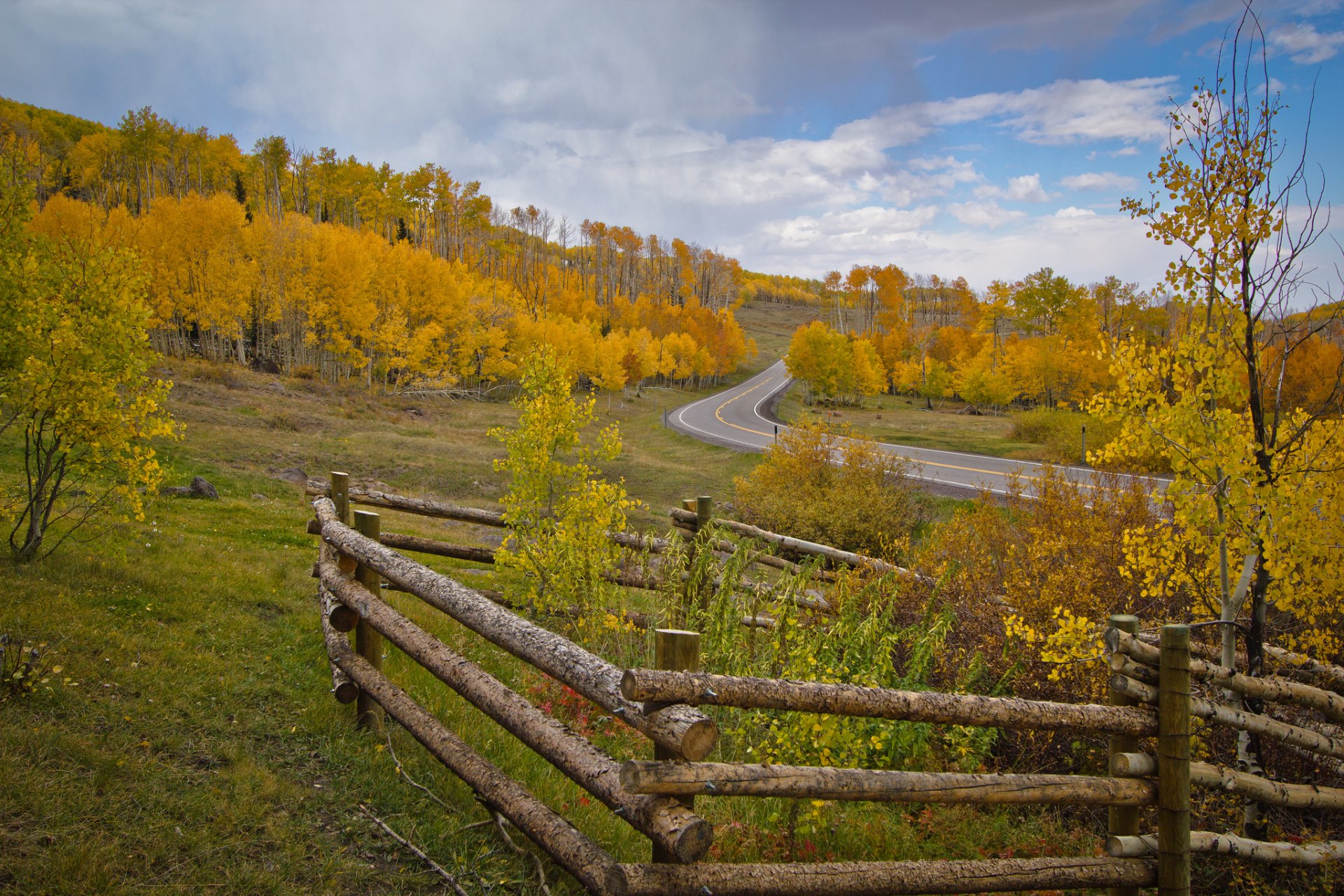 cielo pendenza strada alberi recinzione autunno