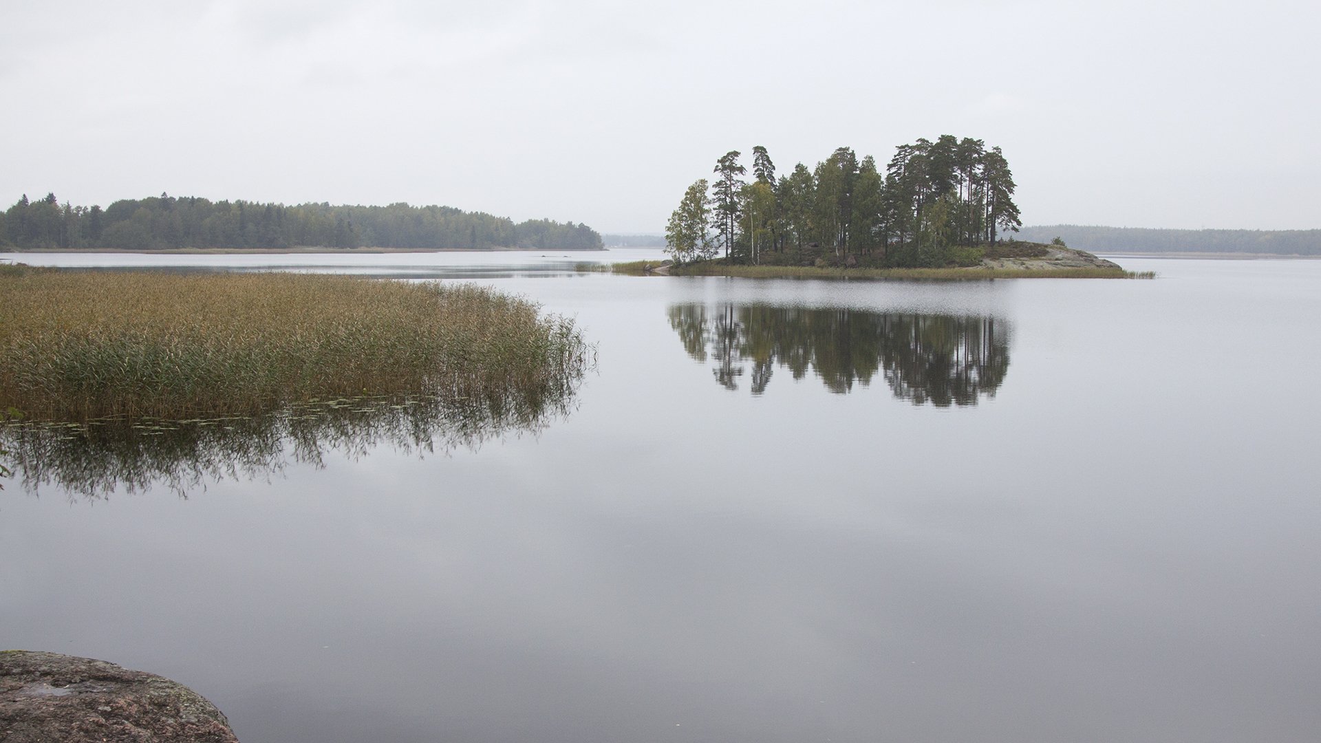 monrepos russia lake island nature photo