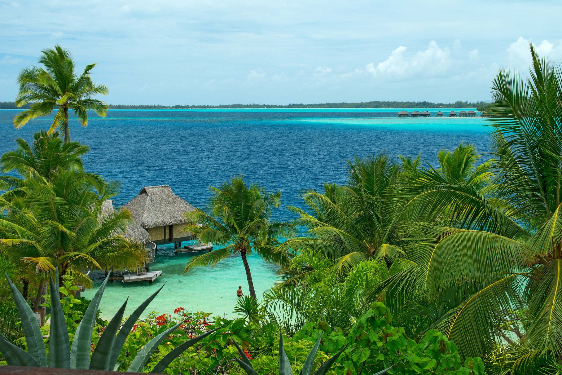 océano playa bungalow palmeras cielo nubes