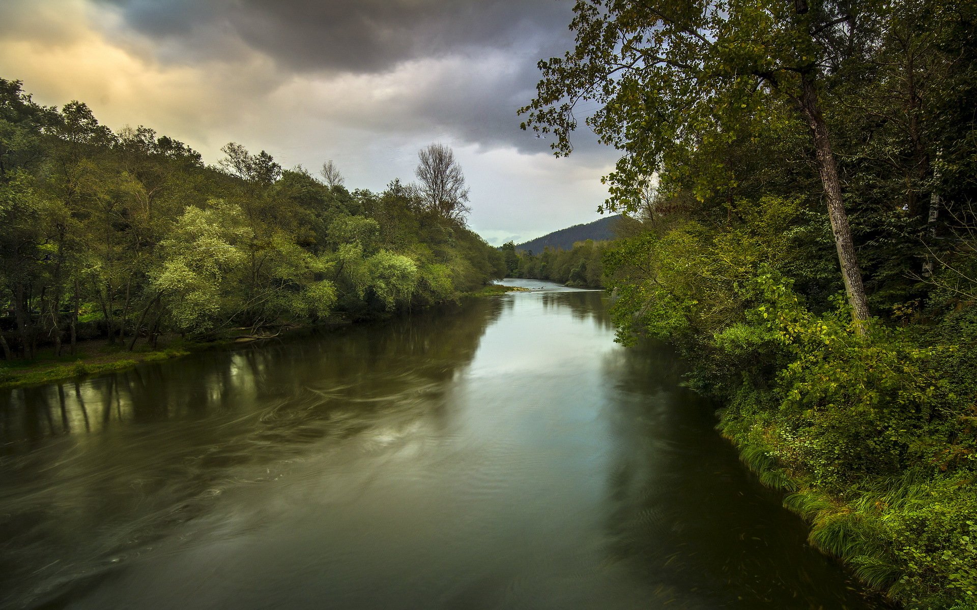 river tree landscape