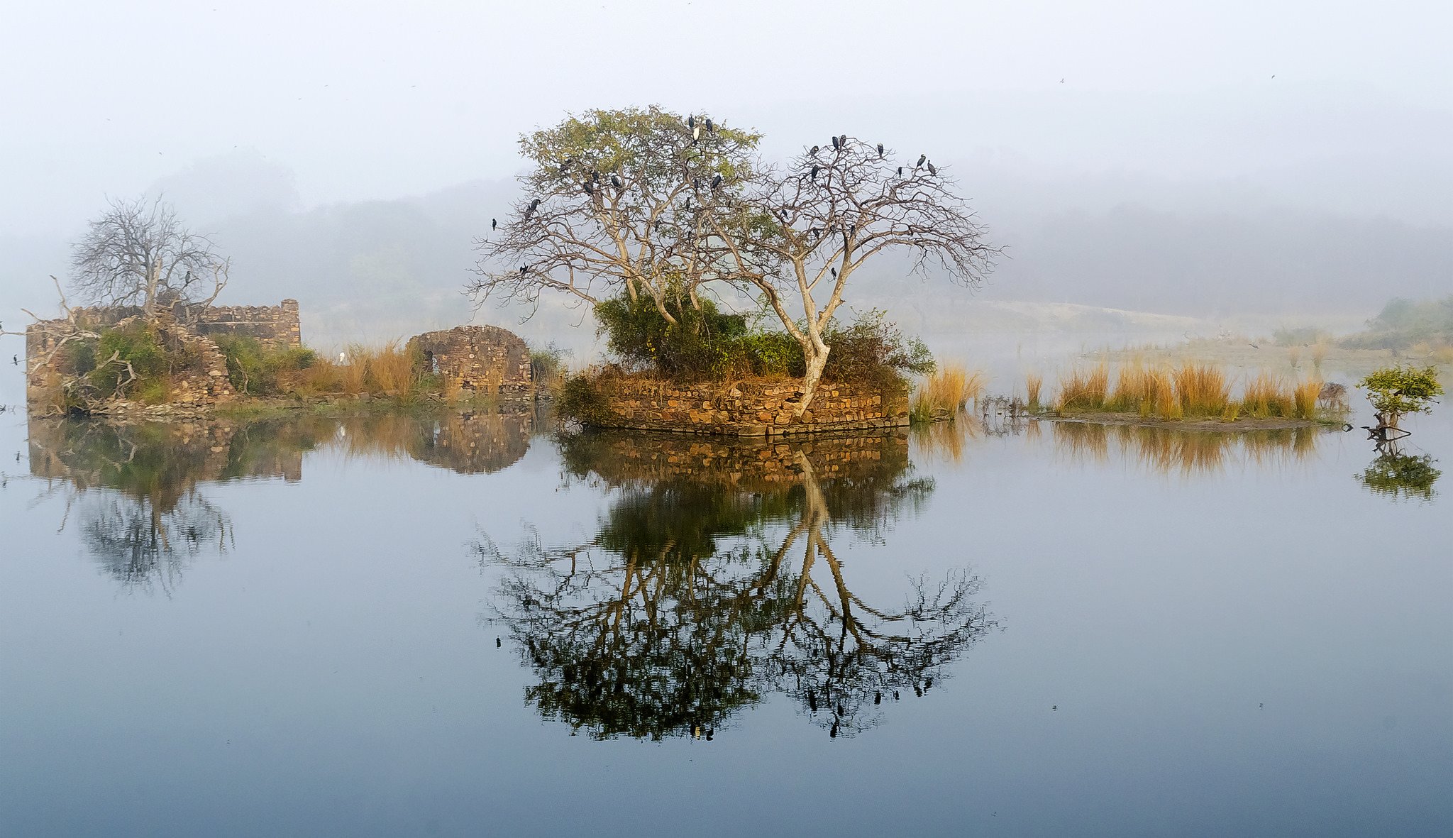 ciel montagnes lac brouillard arbre ruines ruines