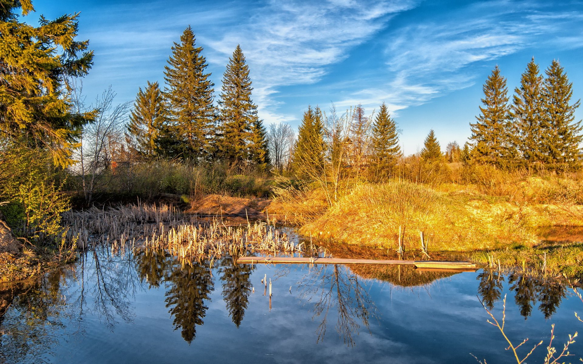 lac forêt nature paysage