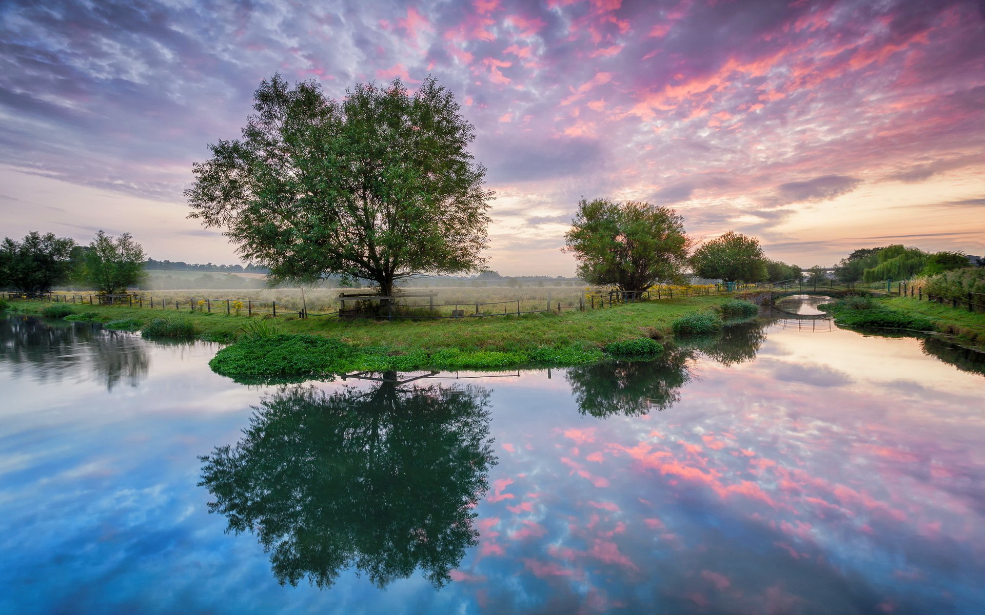 río puente árboles campo mañana amanecer verano