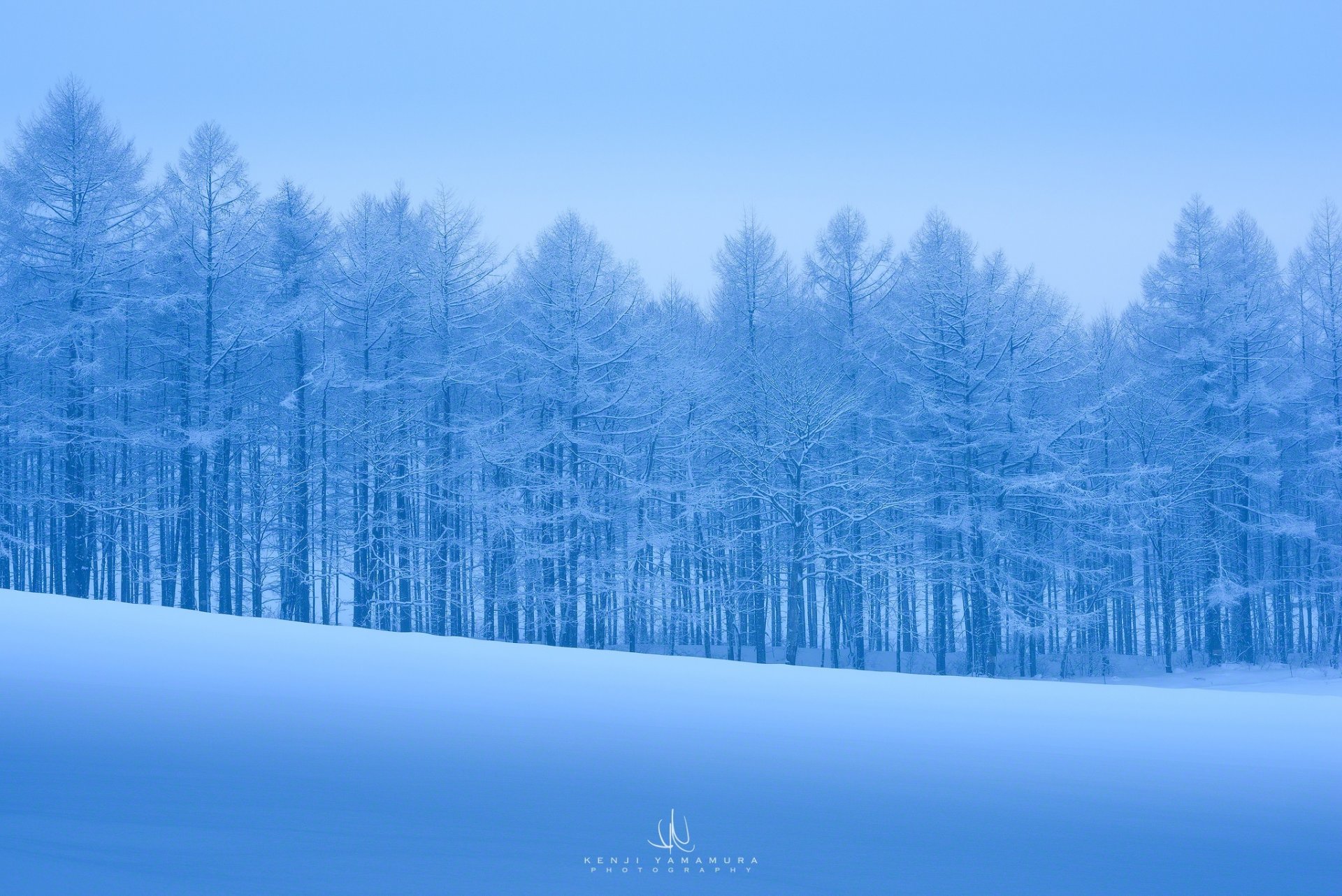 kenji yamamura fotograf schnee bäume frost kälte