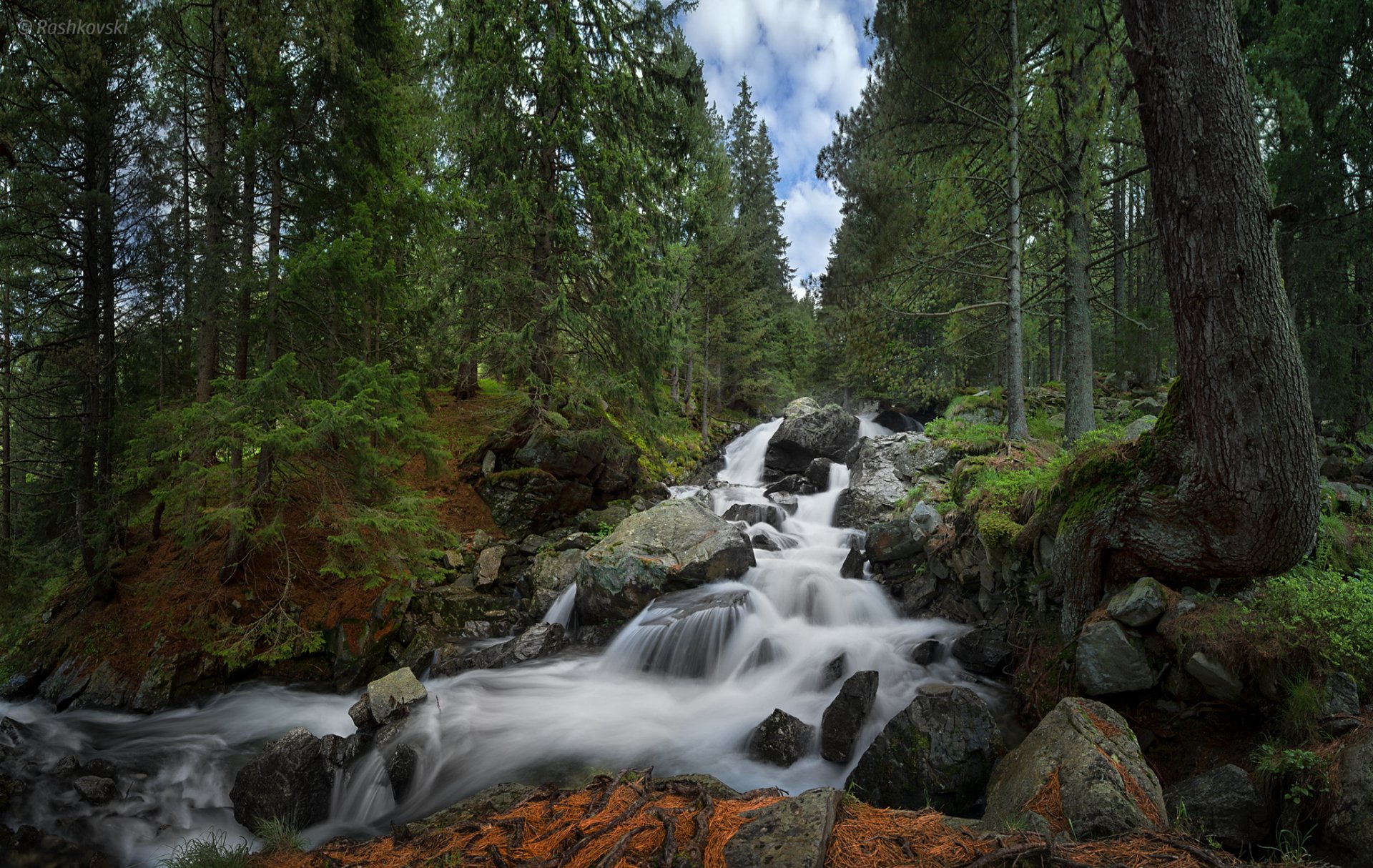 kakavica waterfall rila national park bulgaria rila national park waterfall forest