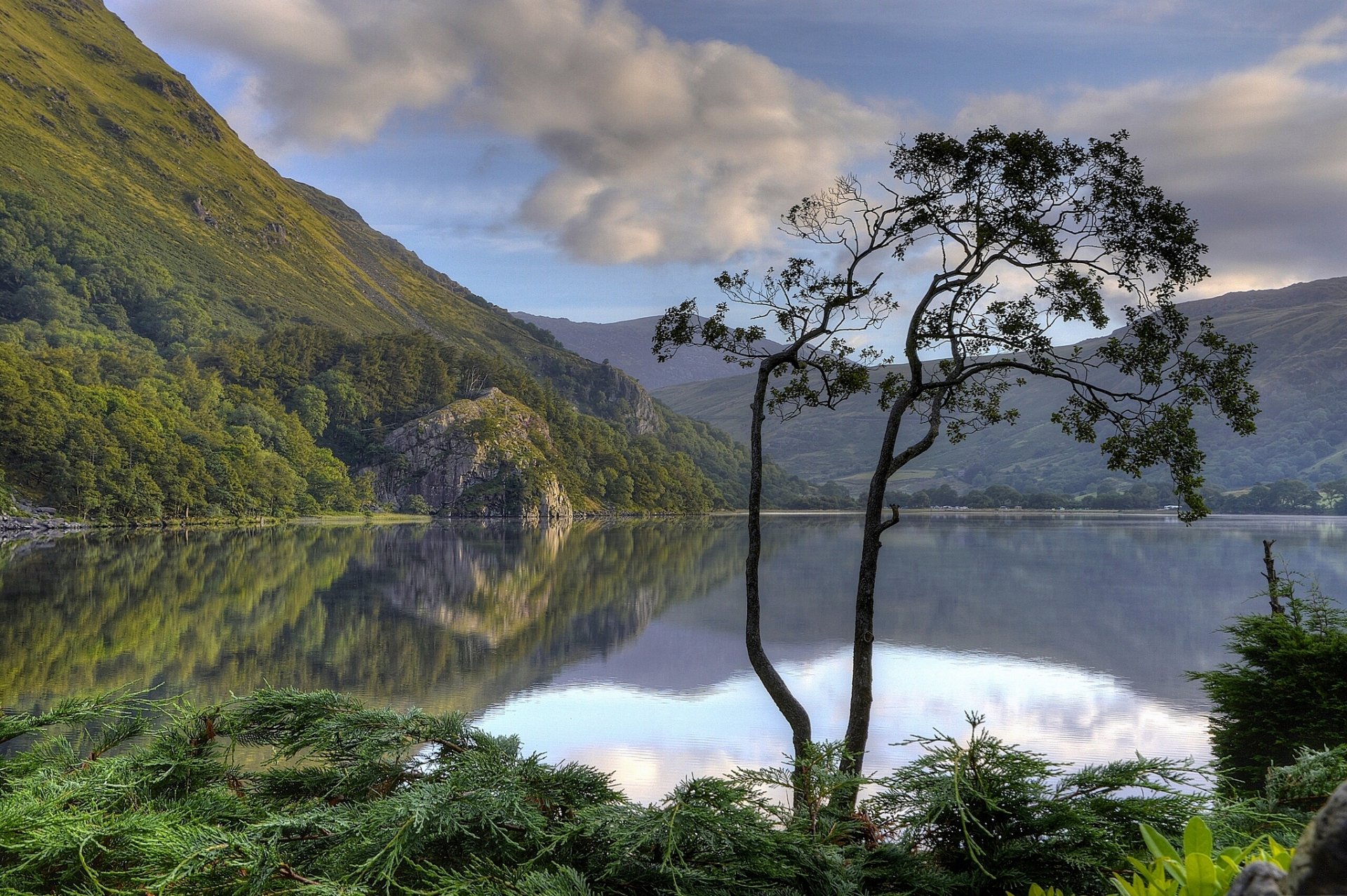 gwynant lake nant gwynant valley snowdonia national park snowdonia wales england lake mountain tree reflection