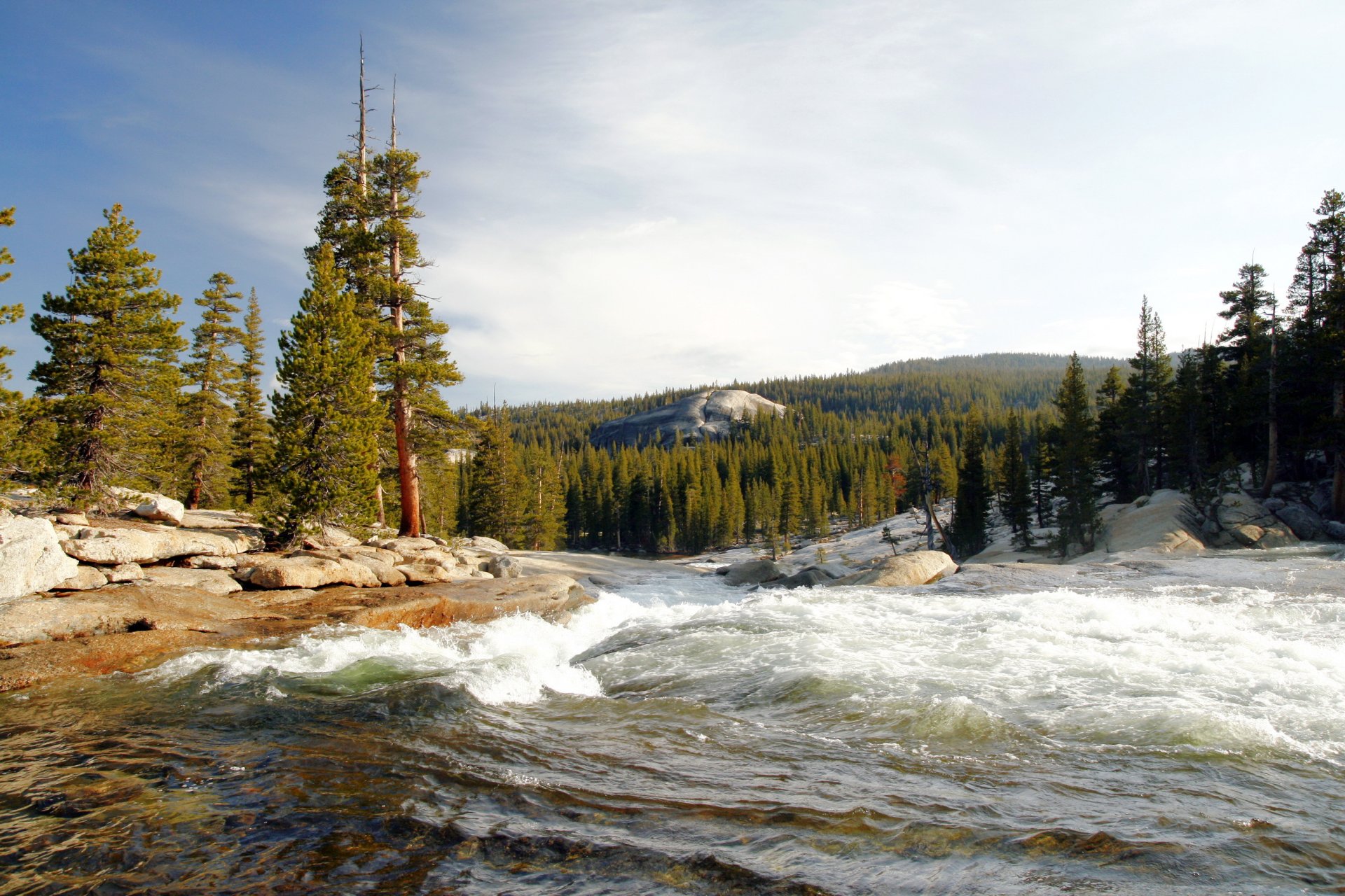 stati uniti d america parco nazionale di yosemite california foresta alberi fiume tuolumne corrente flusso tempestoso riva pietre