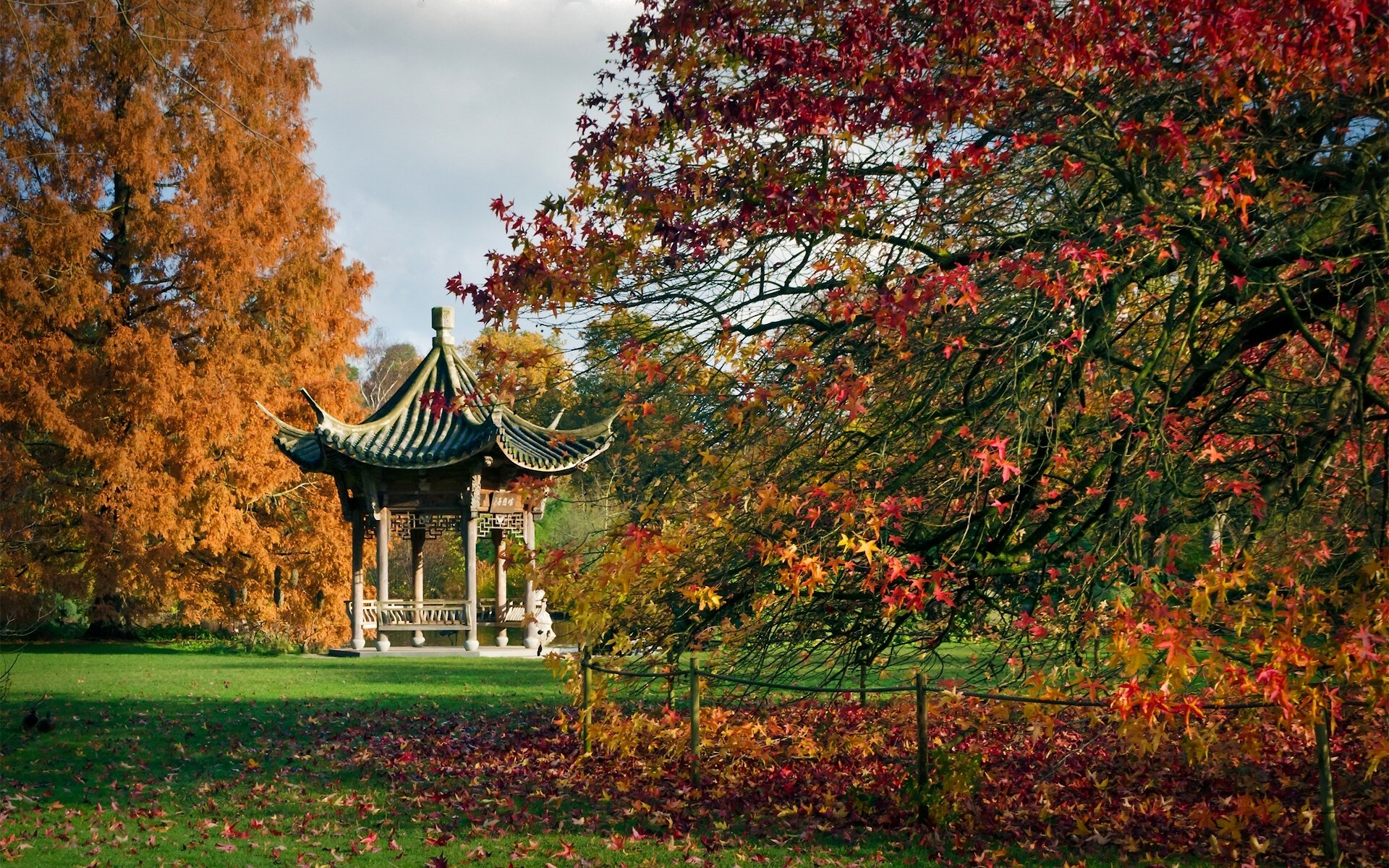 рит сад wisley англия висли ботанический сад пагода беседка деревья осень