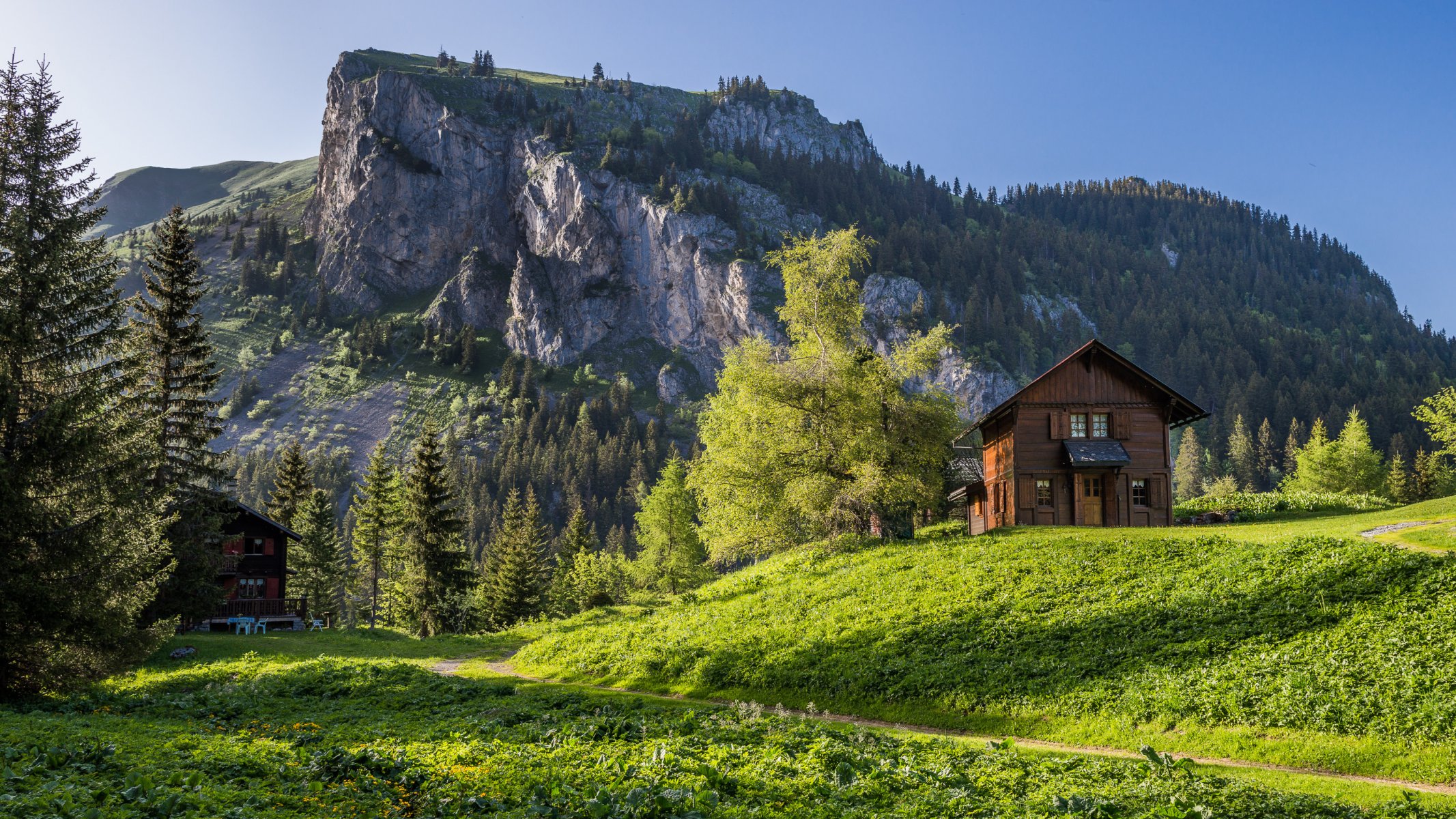 canton of valais switzerland alps mountains trees house