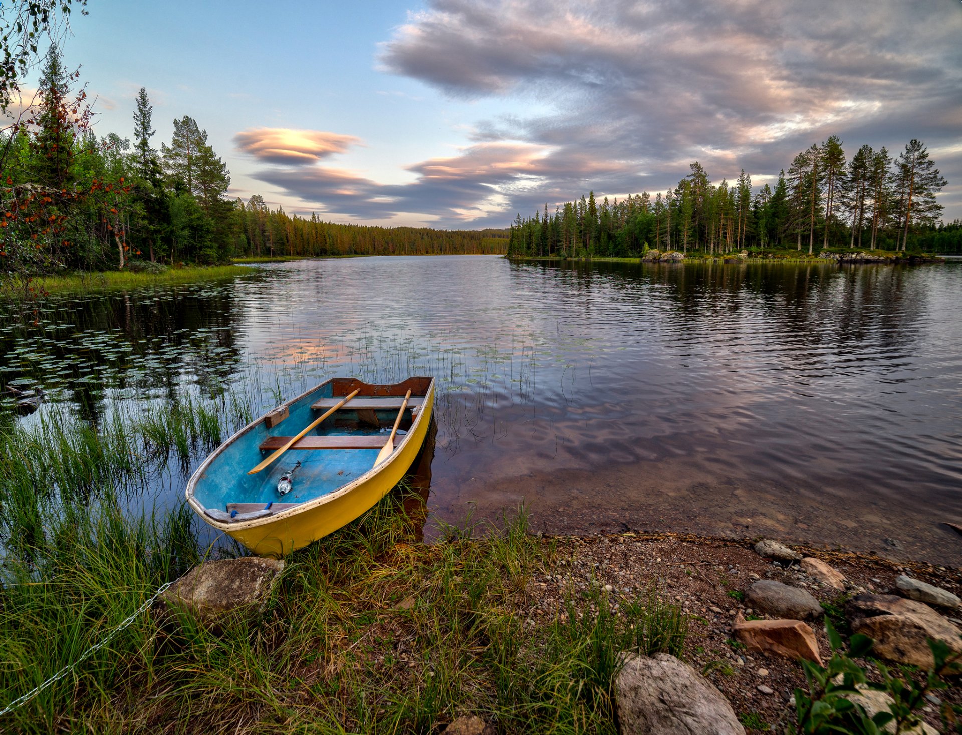 hedmark fylke norvège forêt lac îlot arbres côte bateau pierres