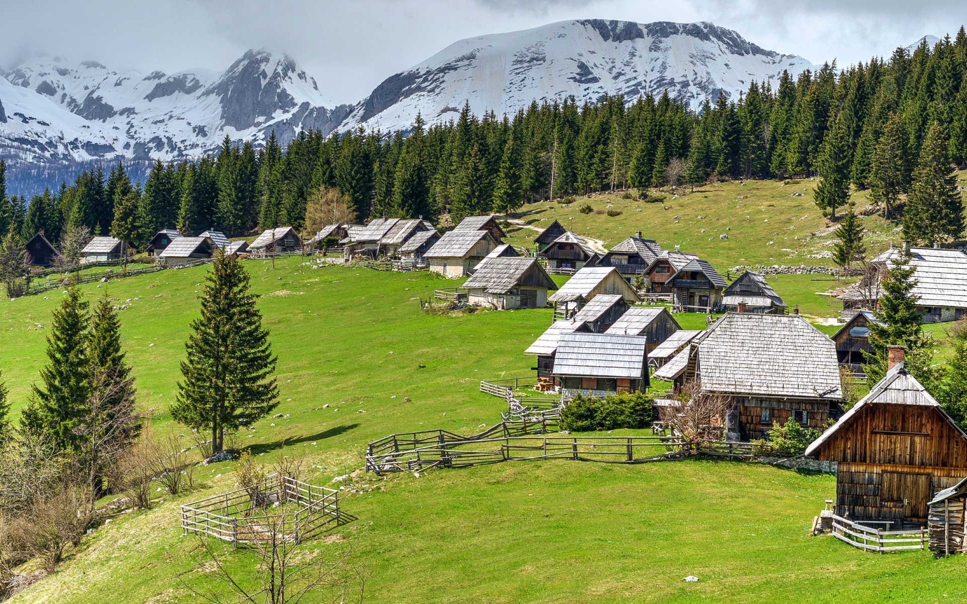 slowenien pokljuka berge wald lichtung häuser